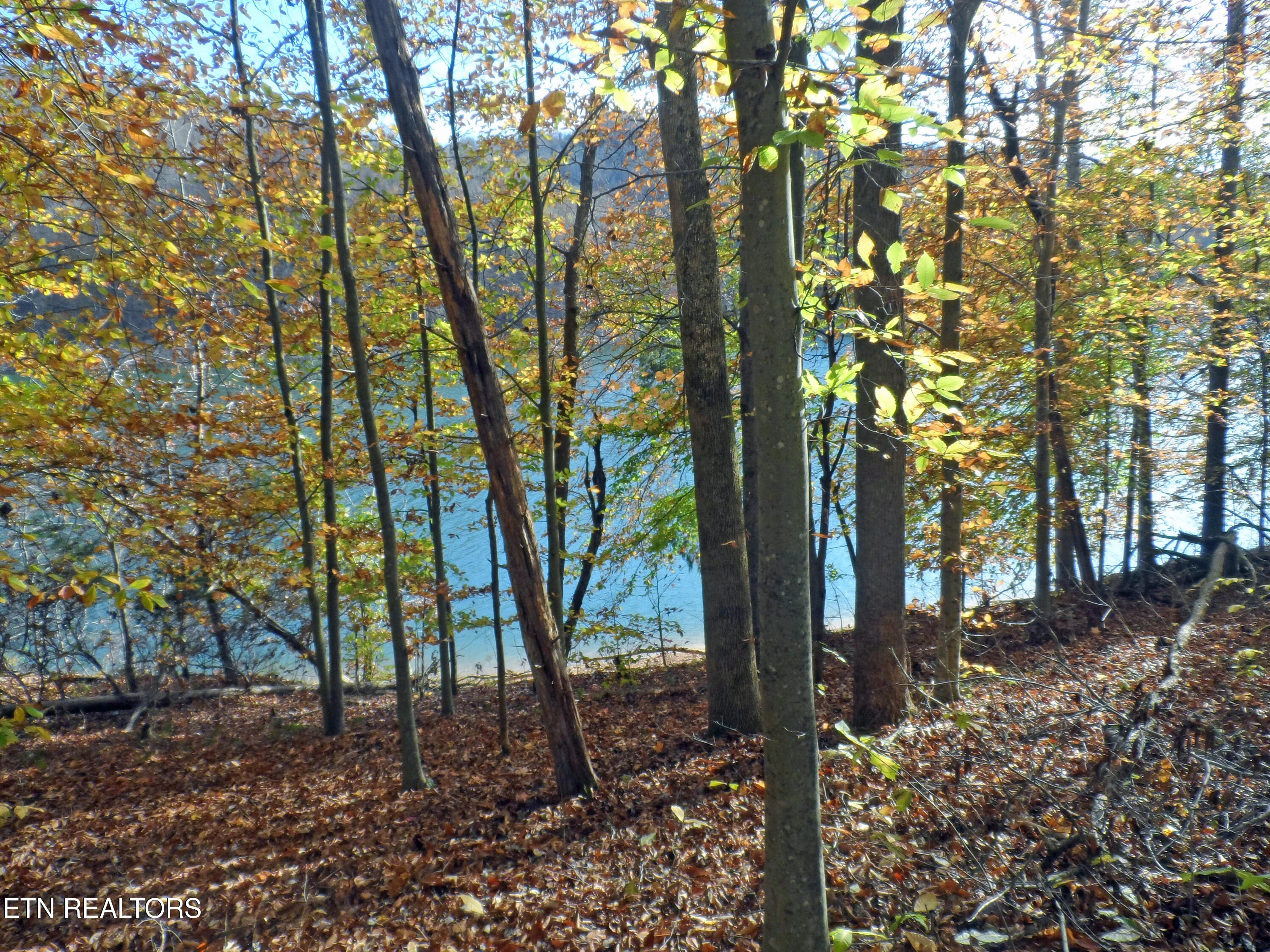 Lot 348 Lick Branch Rd Property Photo