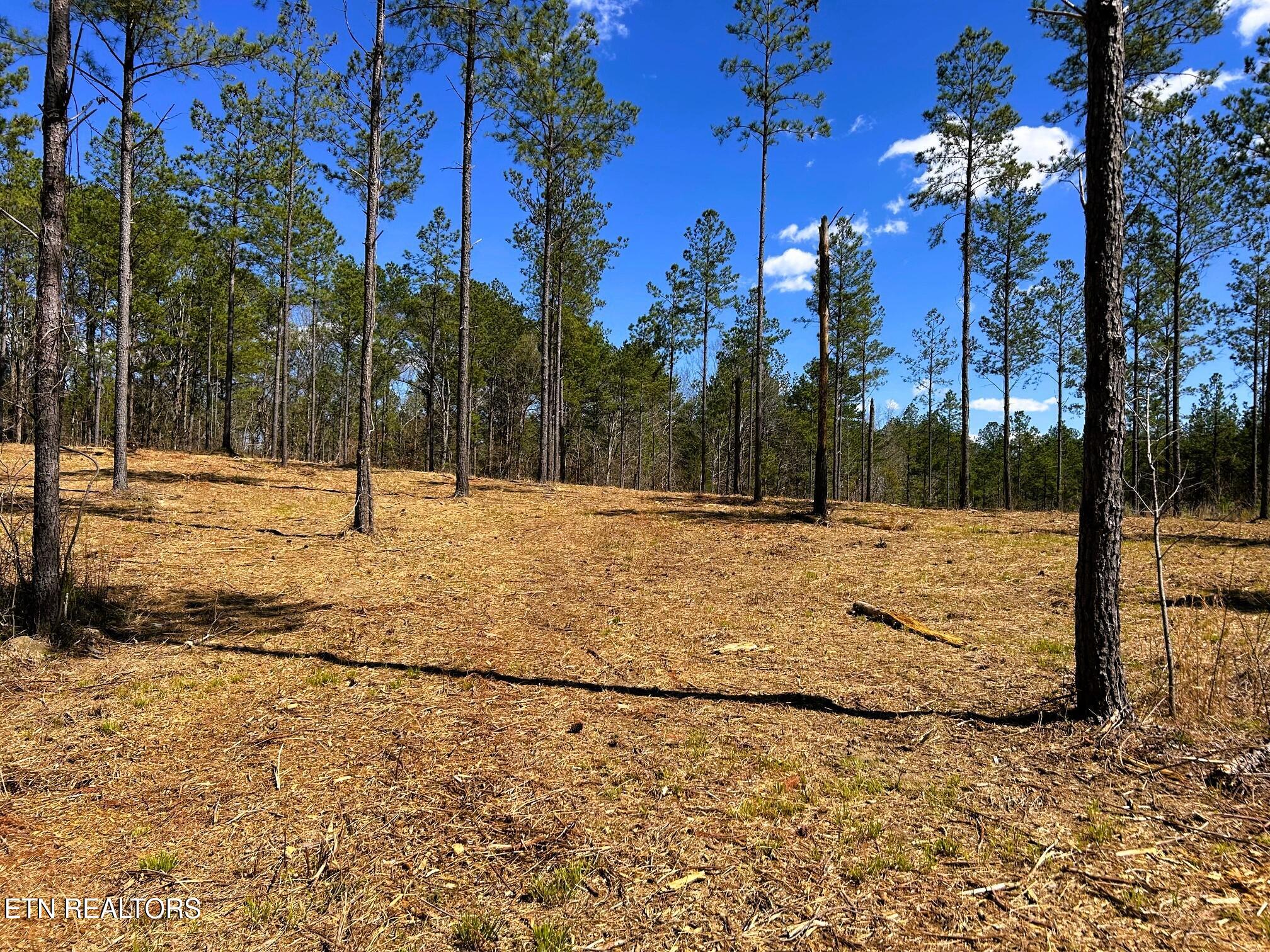 Tract 26b Hughes Lake Road Se Property Photo