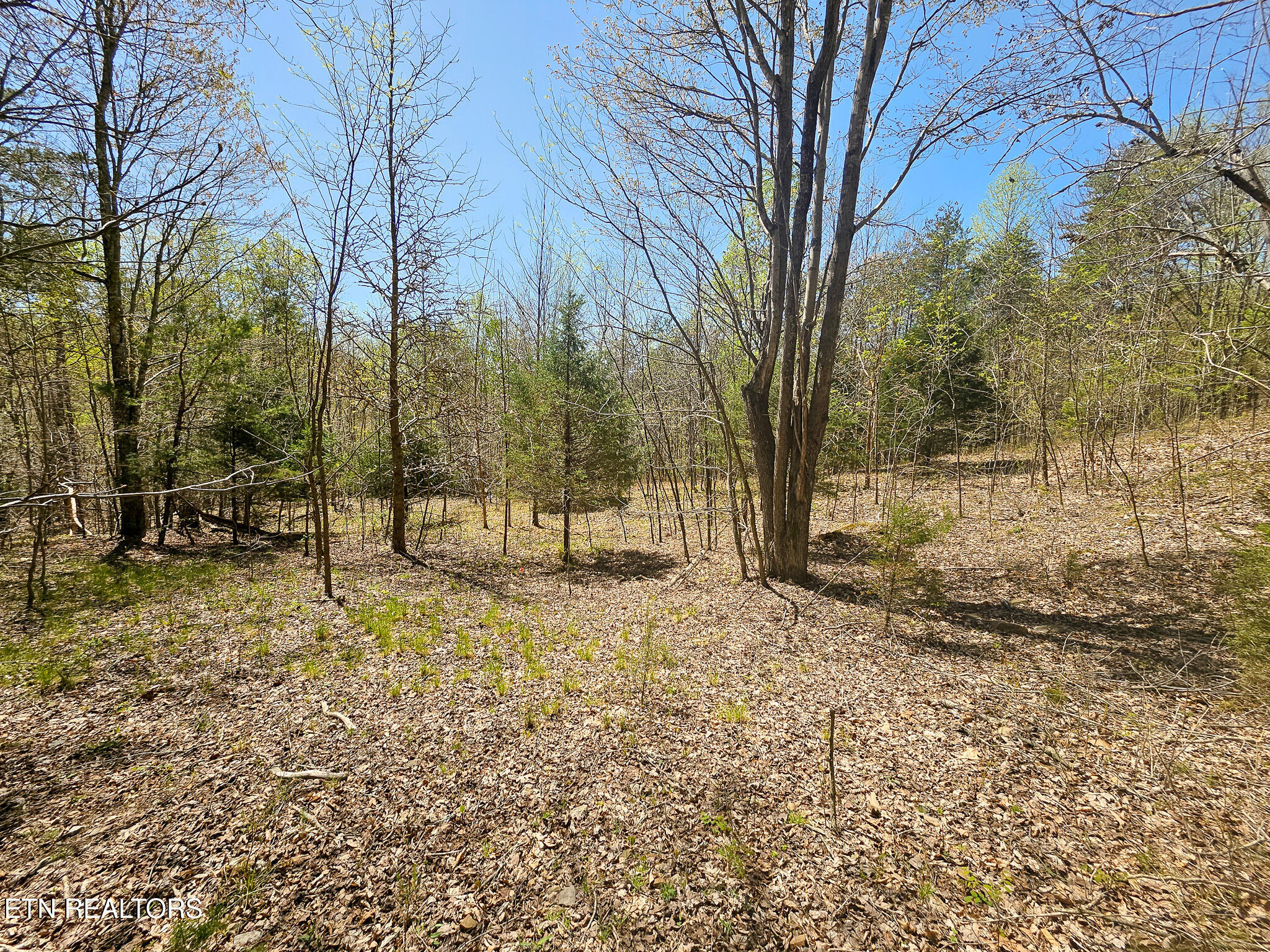 170 Bluff View Rd Property Photo