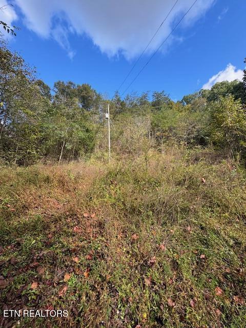 Chapman Hwy Property Photo