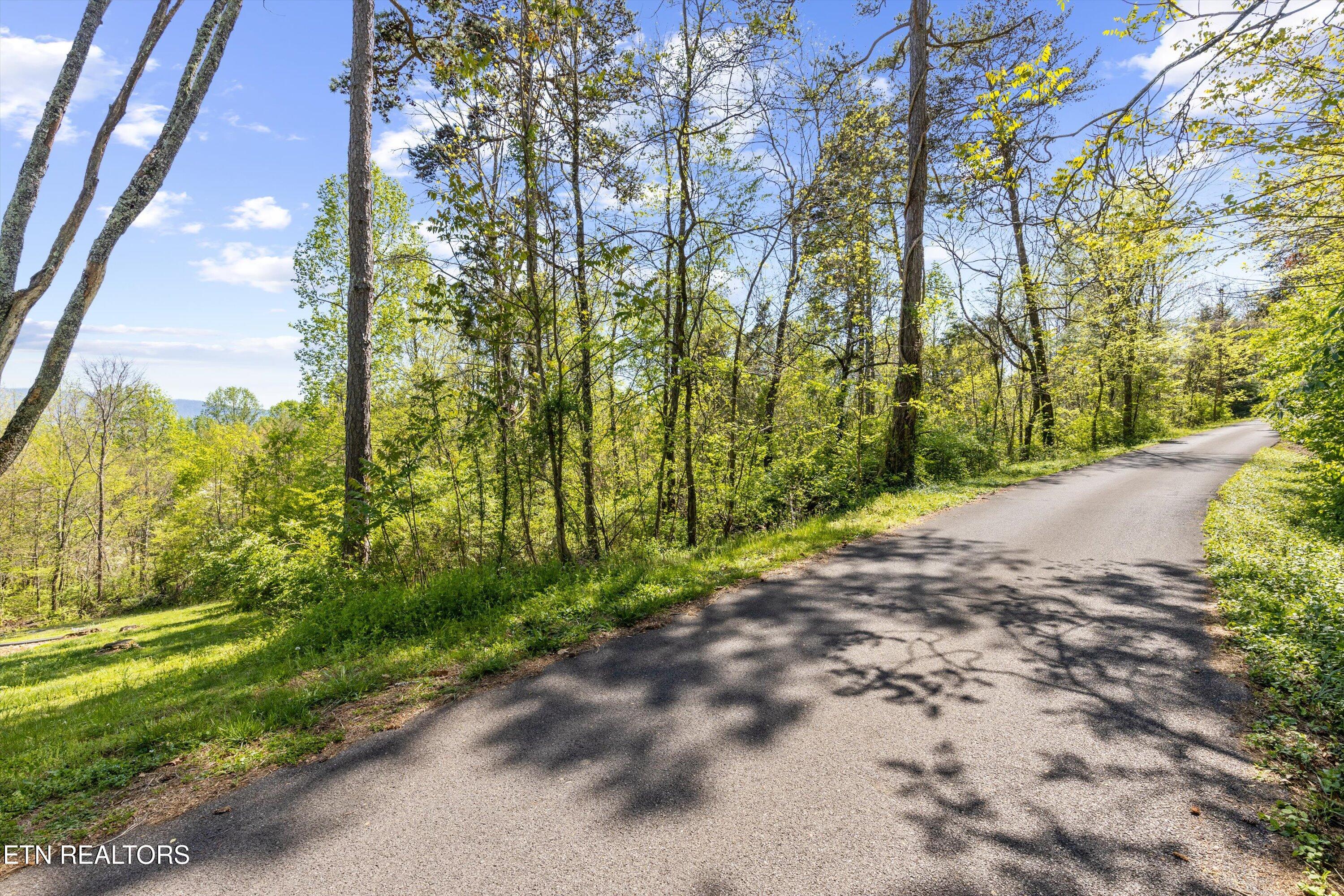 Lot 8 Monticello Dr Property Photo
