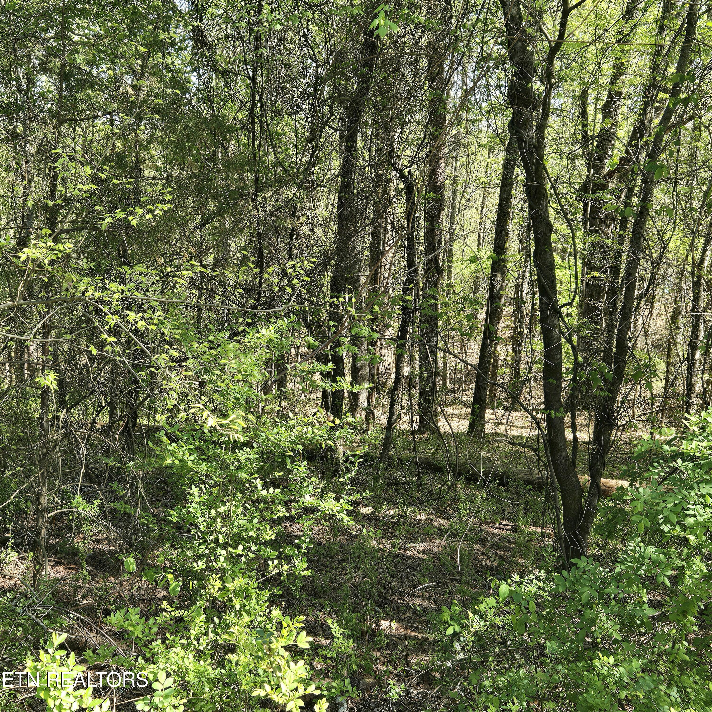 Lot 68 King Hill Rd Property Photo