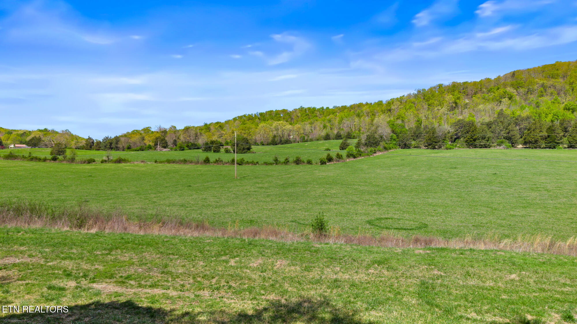 Dogtown Rd Property Photo