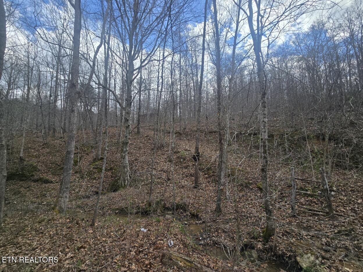 0 Straight Fork Rd Property Photo