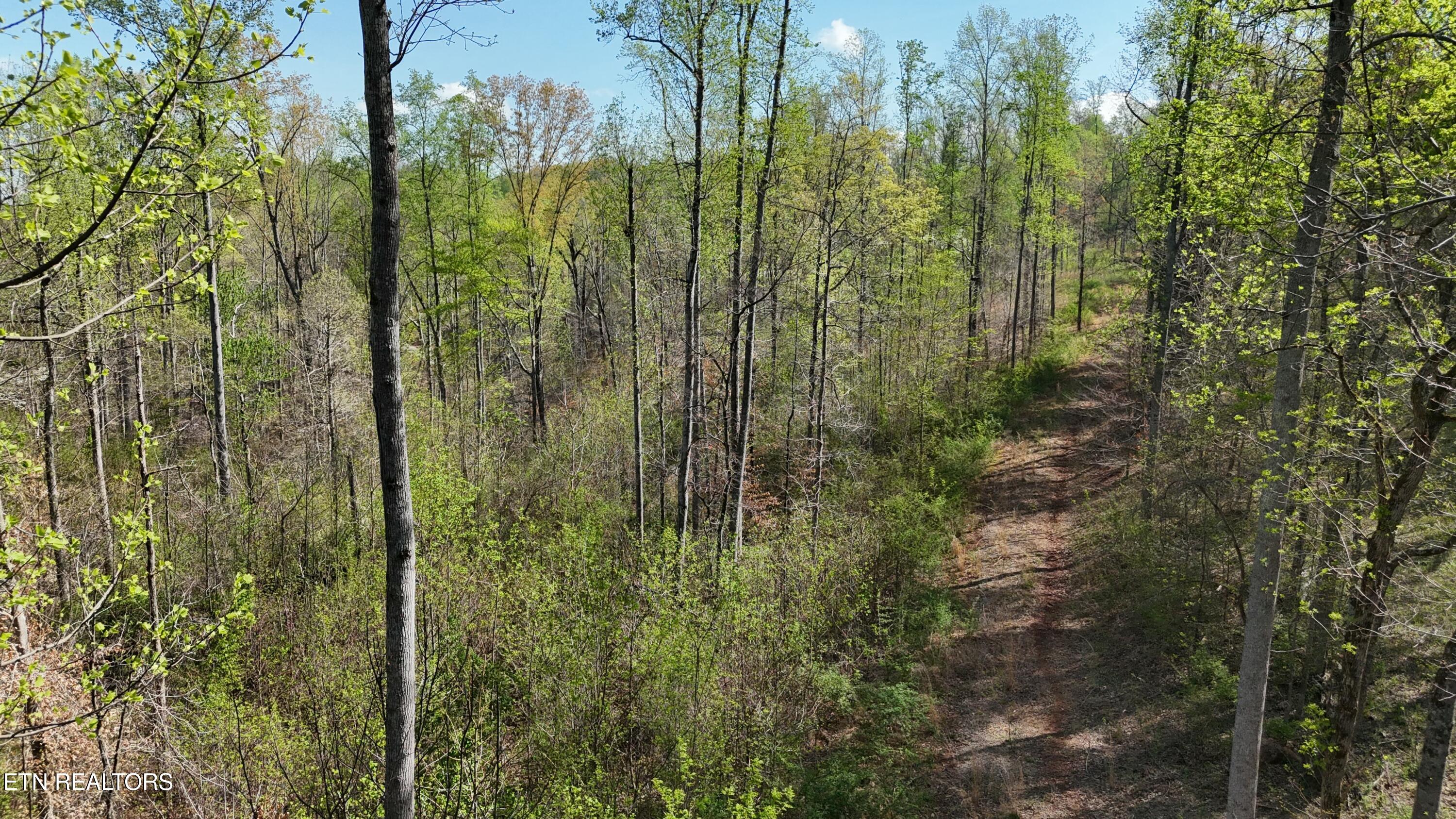 000 County Road 675 Property Photo