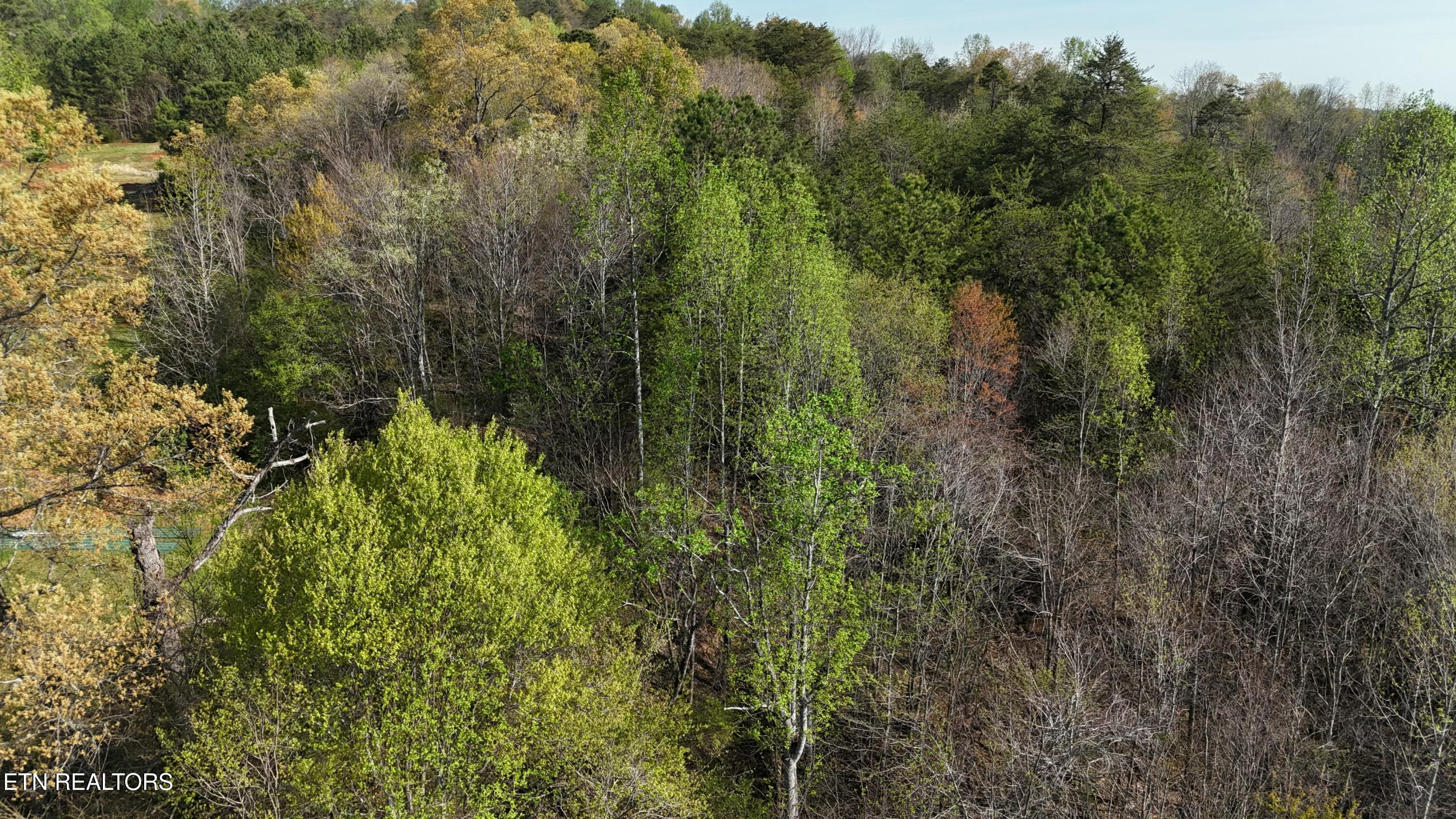 0000 County Road 675 Property Photo