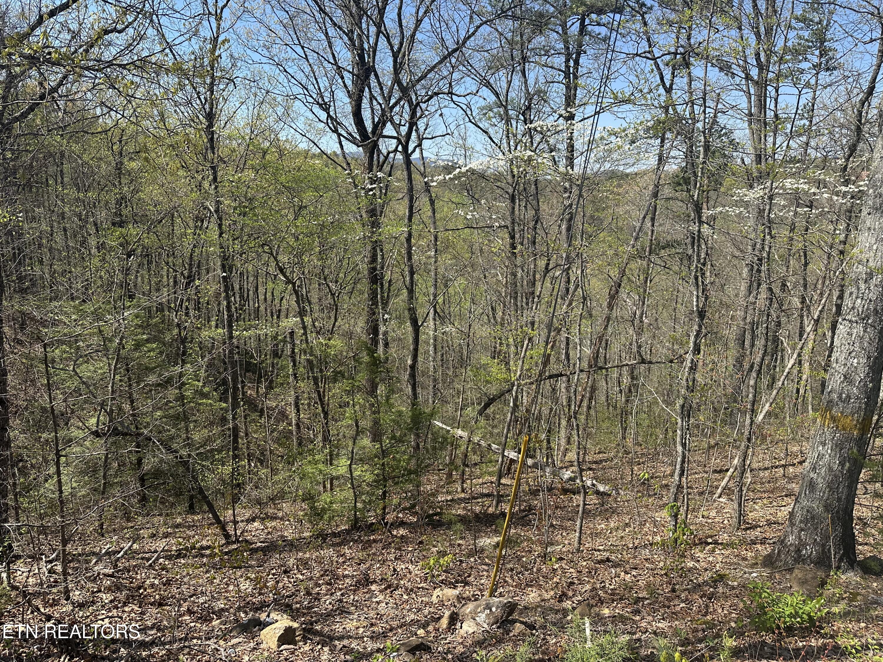 1532 Mountain Dreams Way Property Photo