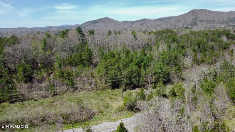 Wears Valley Rd Property Photo
