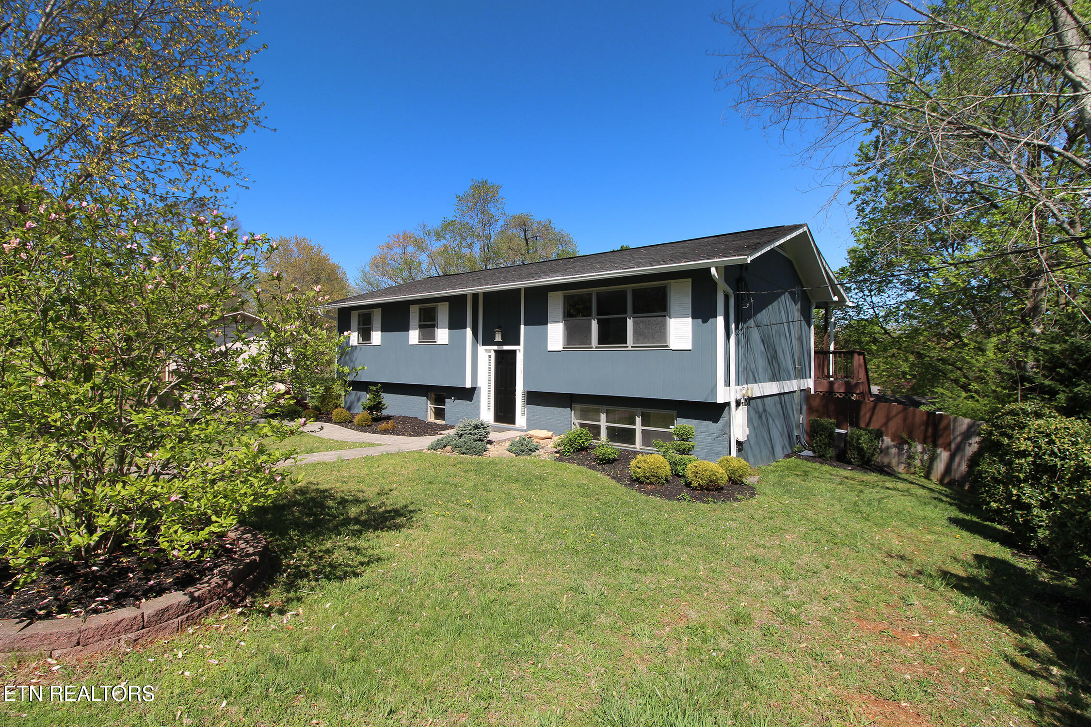 9040 Shallowford Rd Property Photo 6
