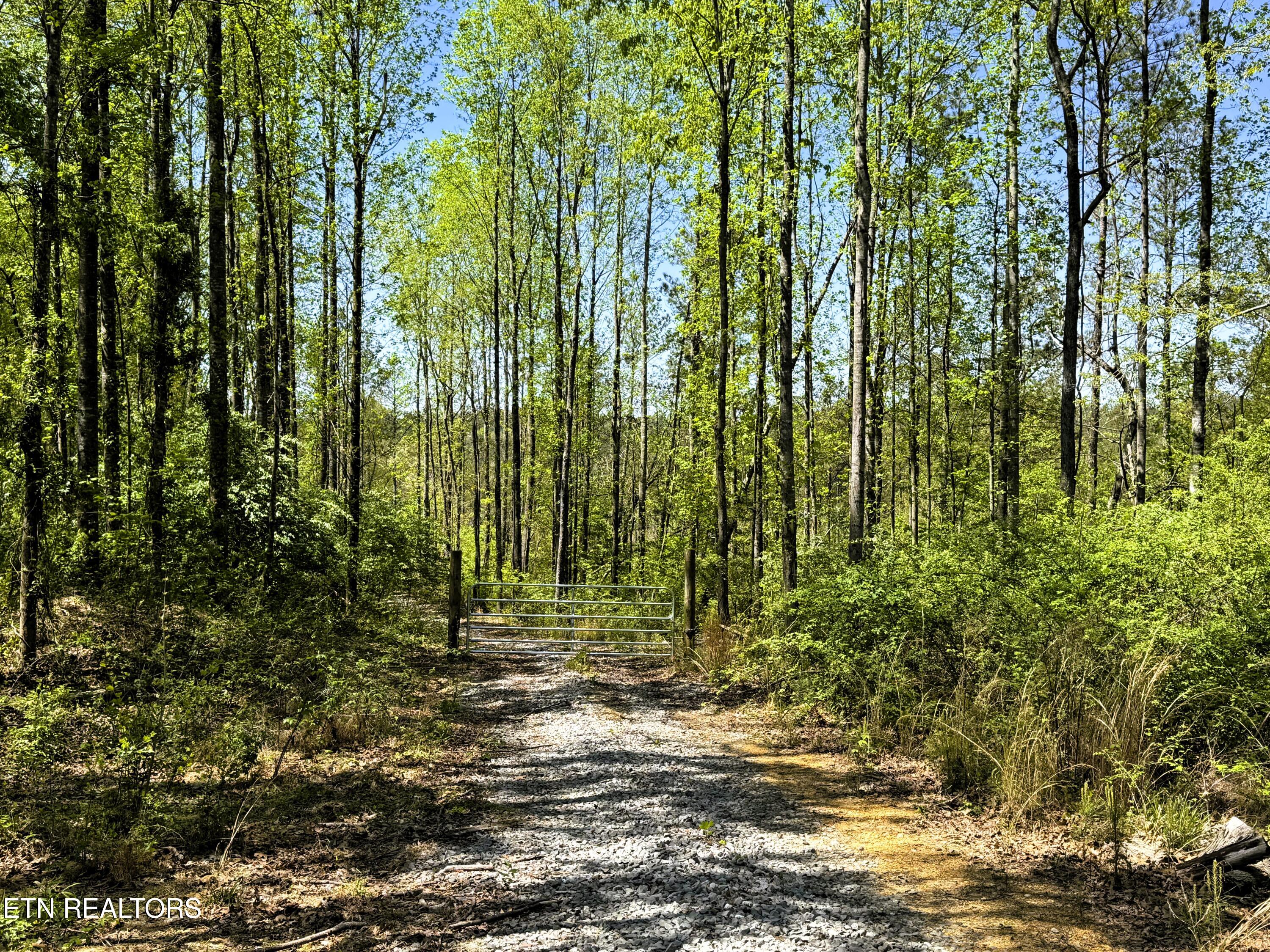 371 County Road 357 Property Photo