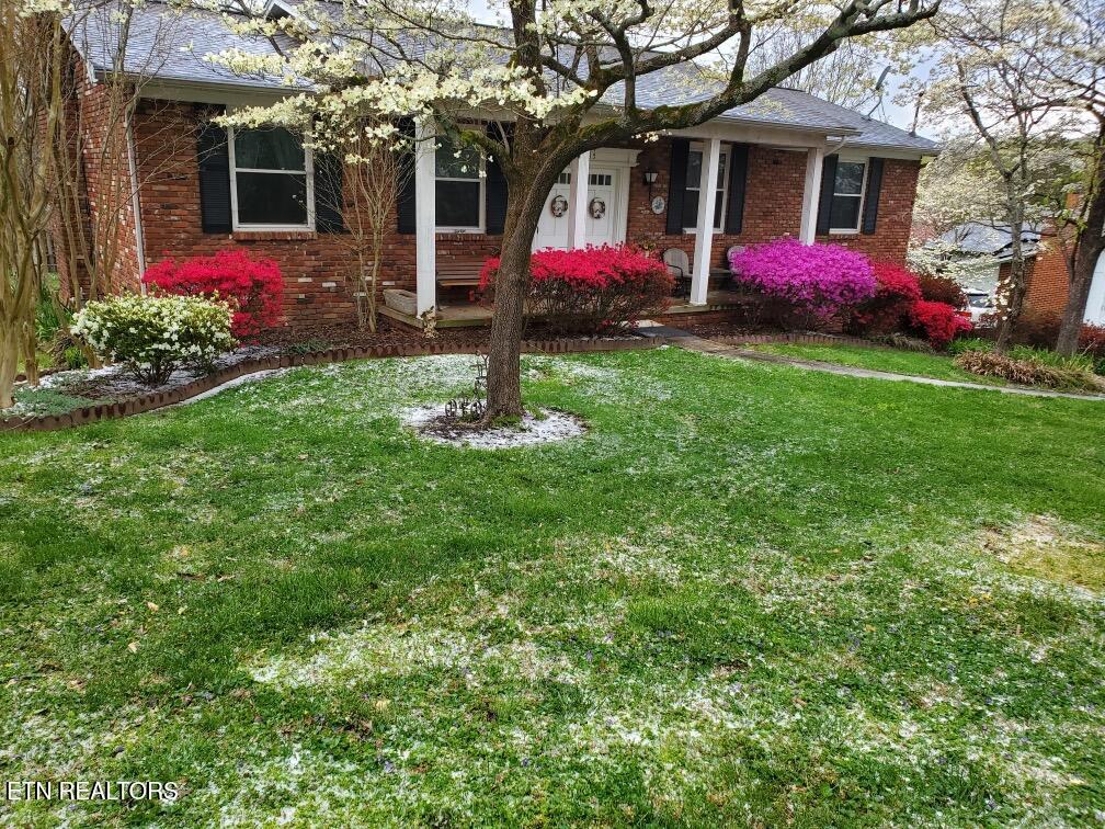 1005 Tokalon Drive Property Photo
