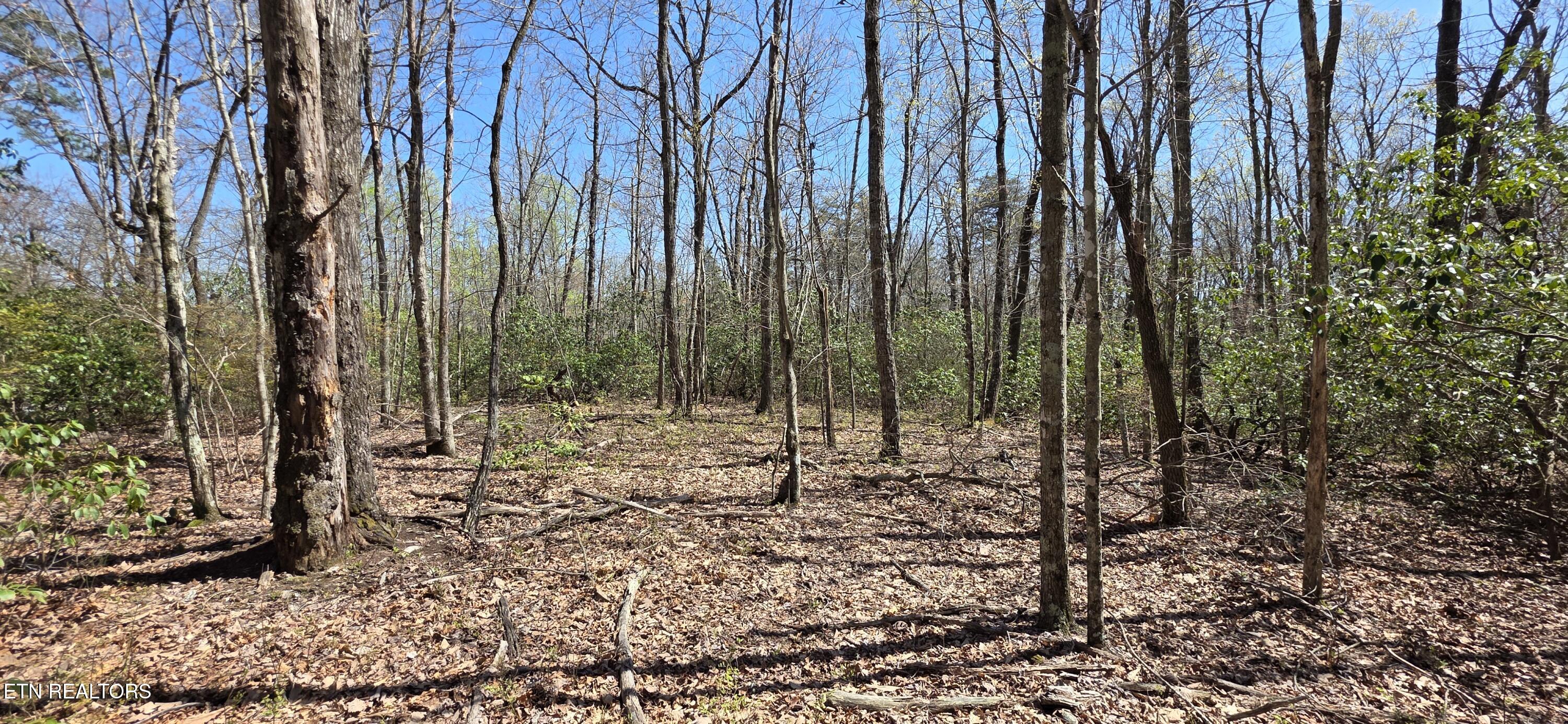 Point Place Property Photo