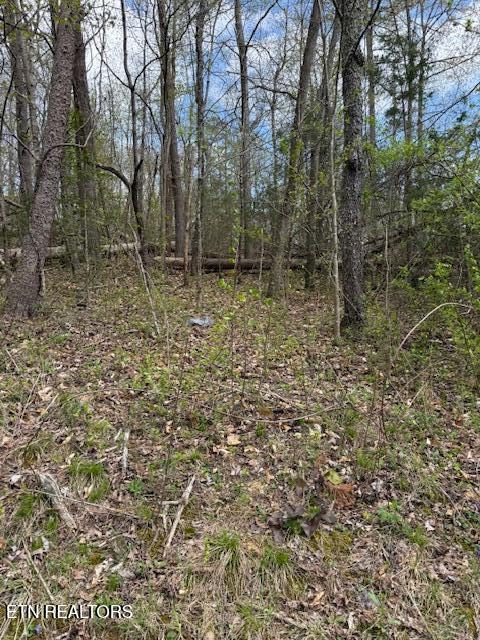 Clear Springs Rd Property Photo
