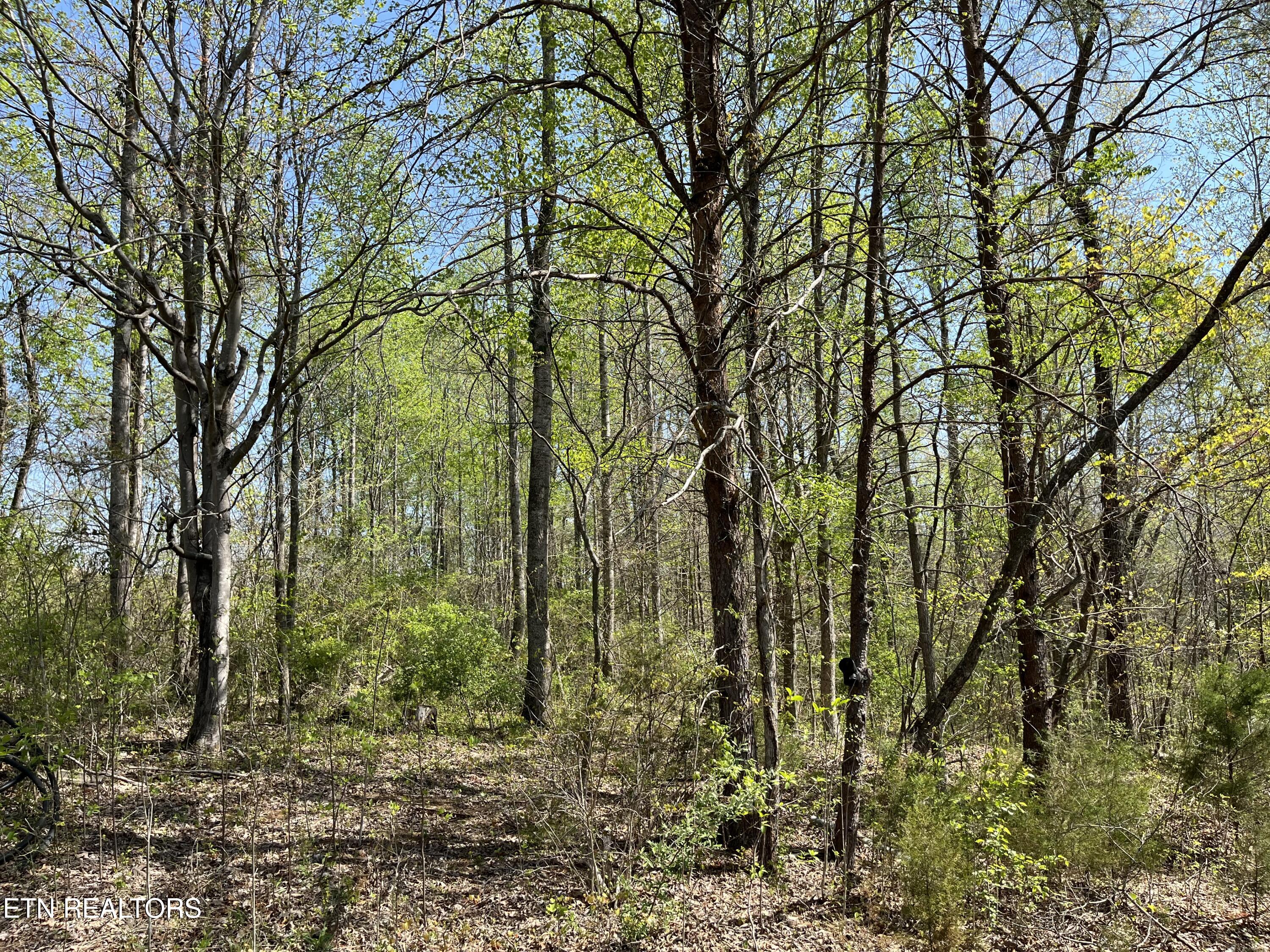 1.01 Ac Fairview Rd Property Photo