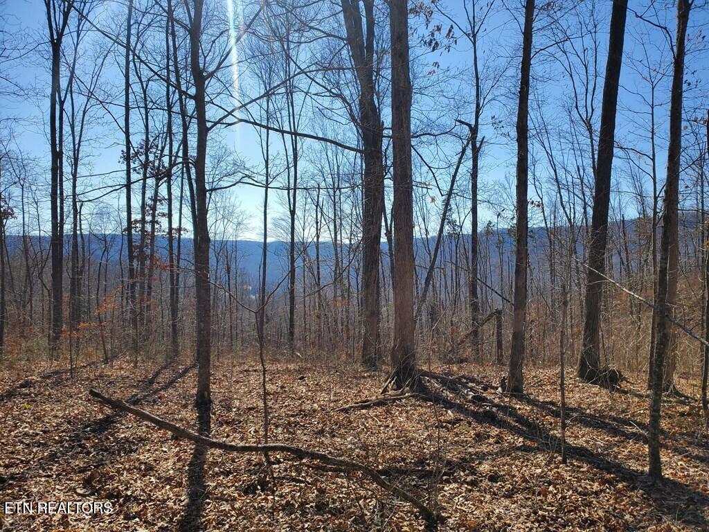 1a Junaluska Drive Property Photo