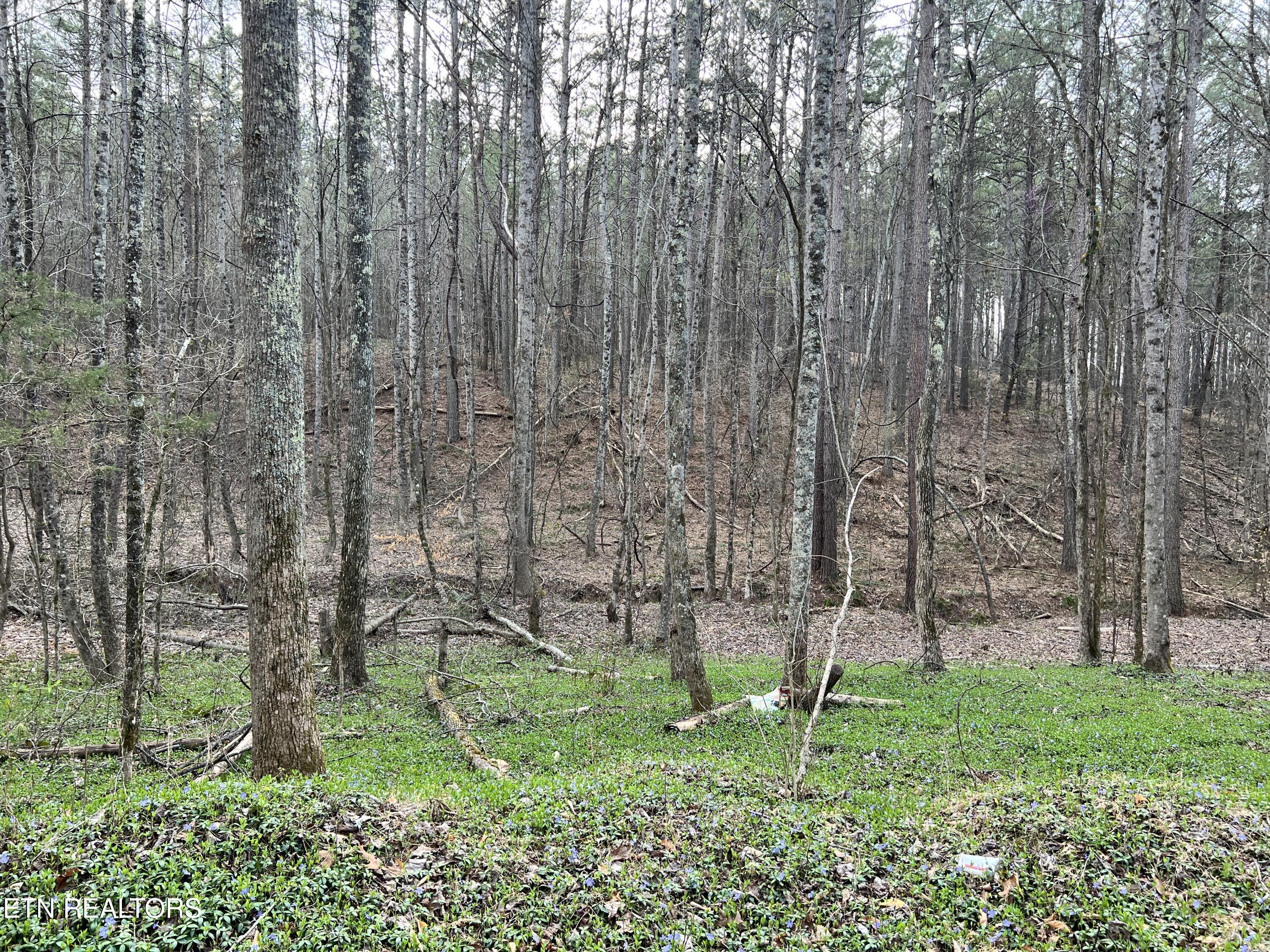 Butler Road Lot 4 Property Photo
