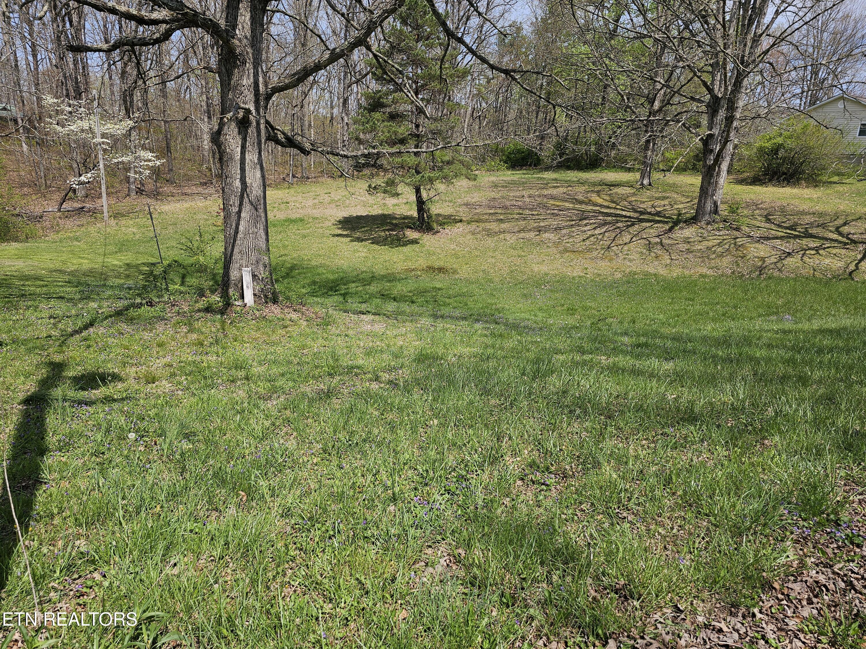 1009 Roysden Rd Property Photo 4