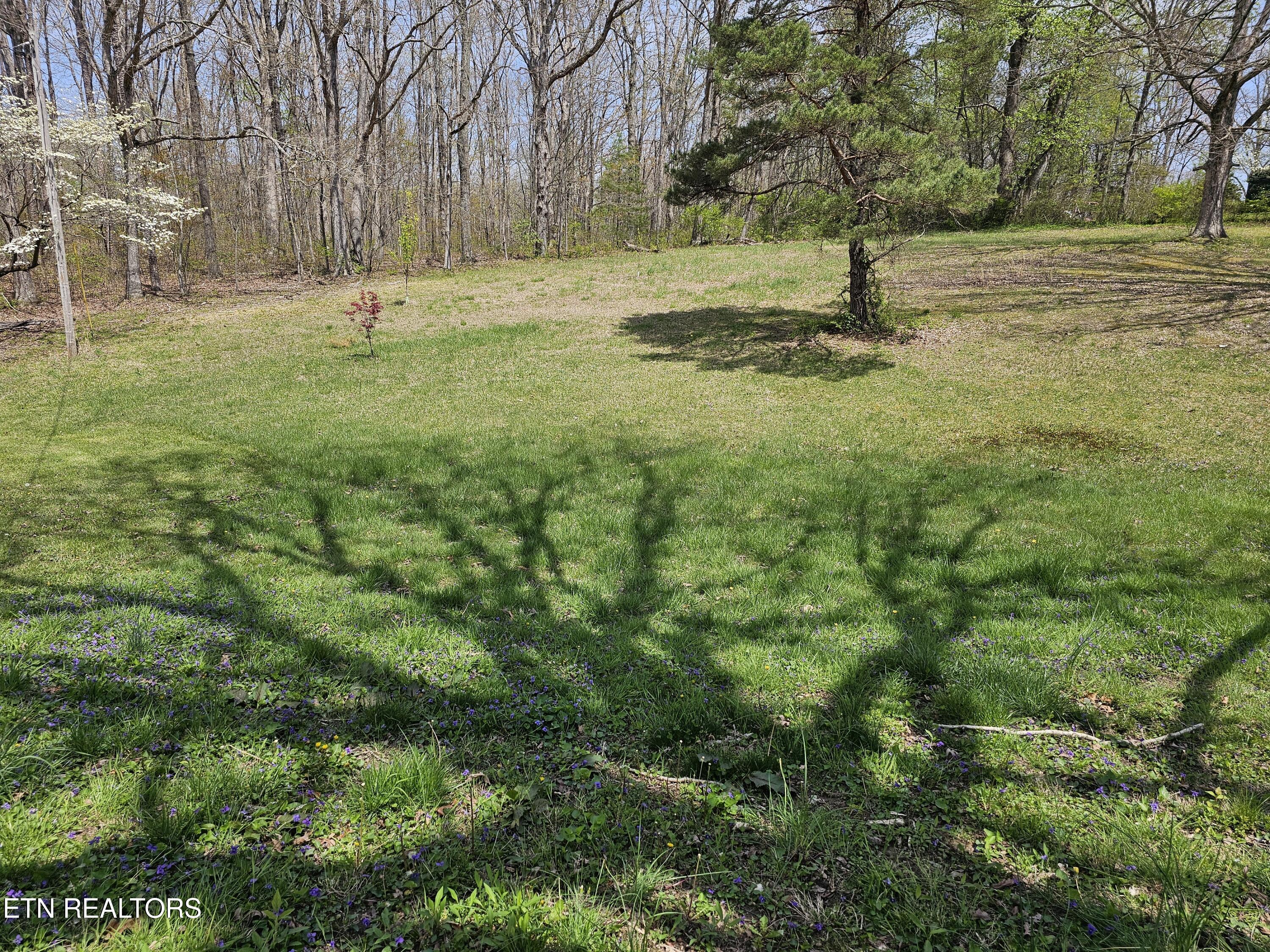 1009 Roysden Rd Property Photo 6