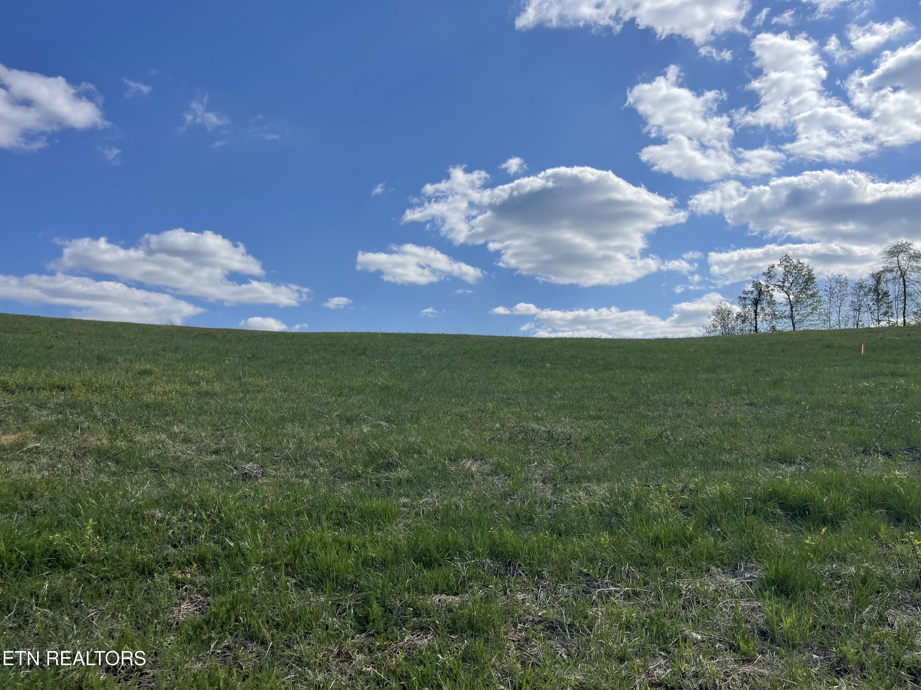 Lot 1 Laura Boling Loop Rd Property Photo