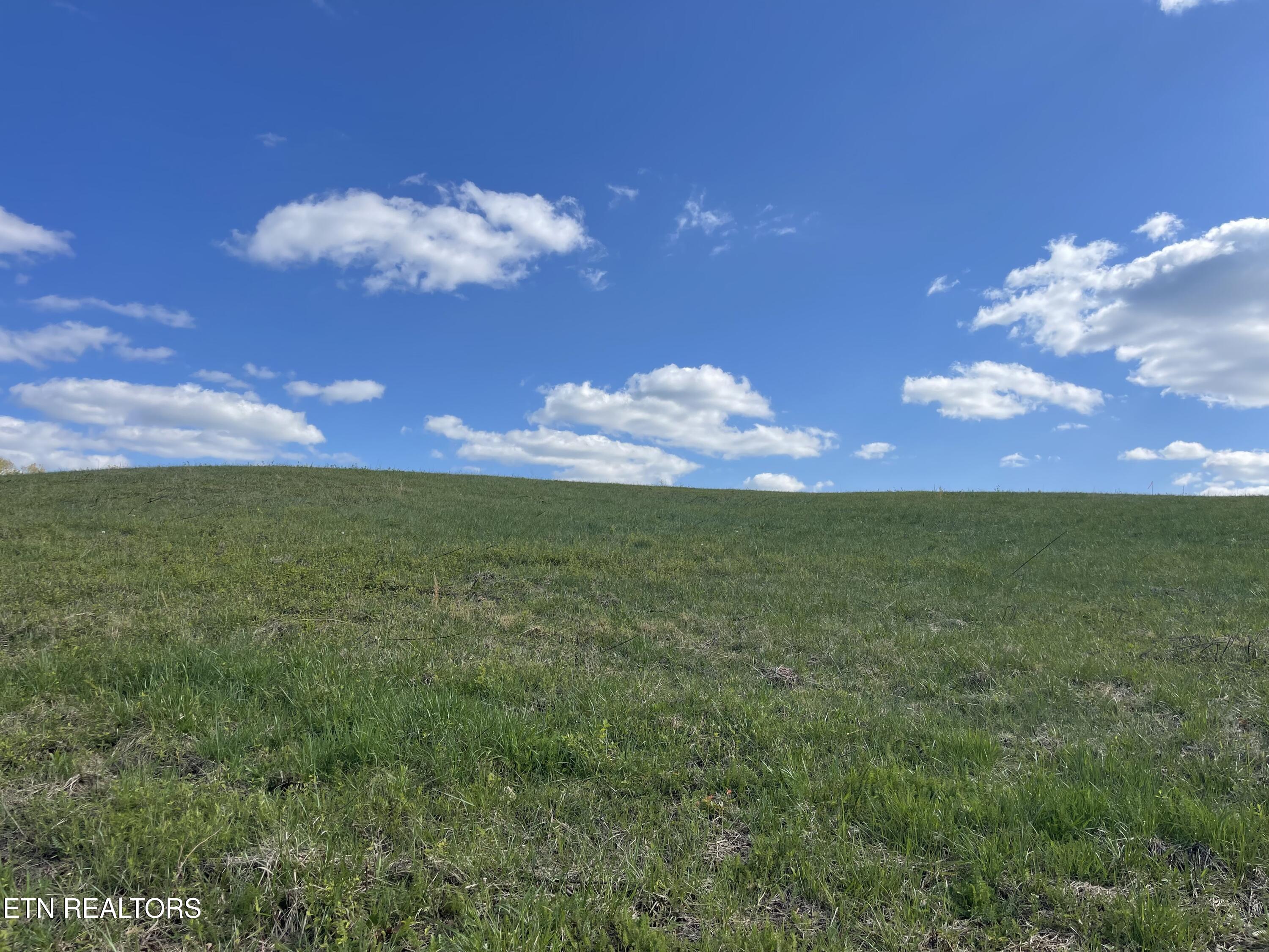 Lot 2 Laura Boling Loop Rd Property Photo