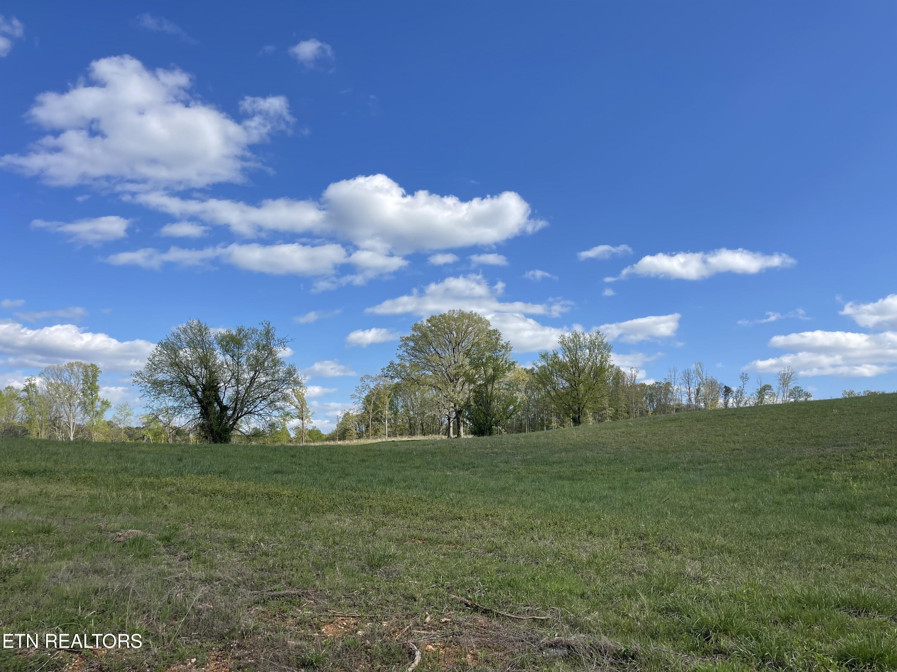 Lot 3 Laura Boling Loop Rd Property Photo
