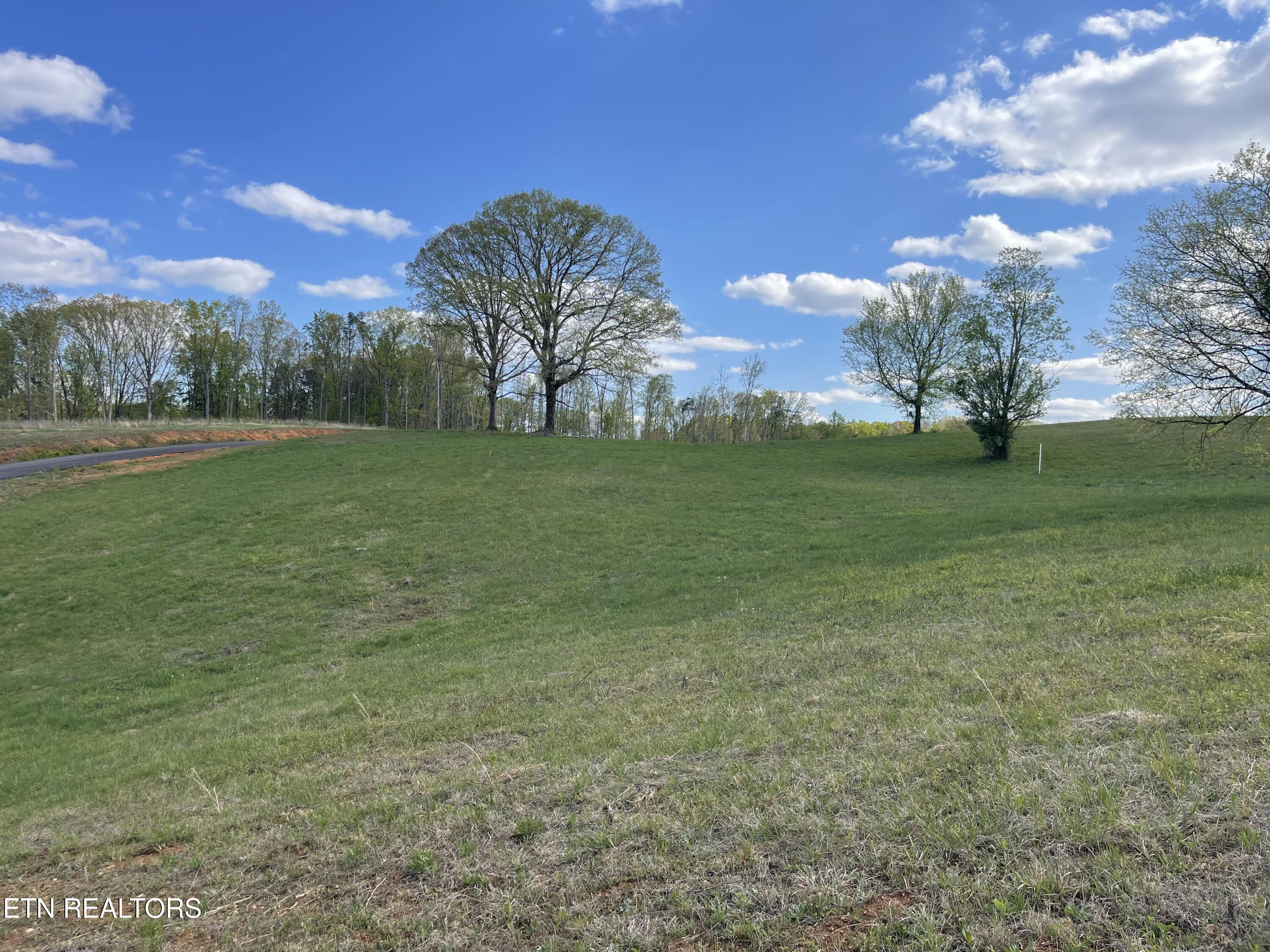 Lot 4 Laura Boling Loop Rd Property Photo