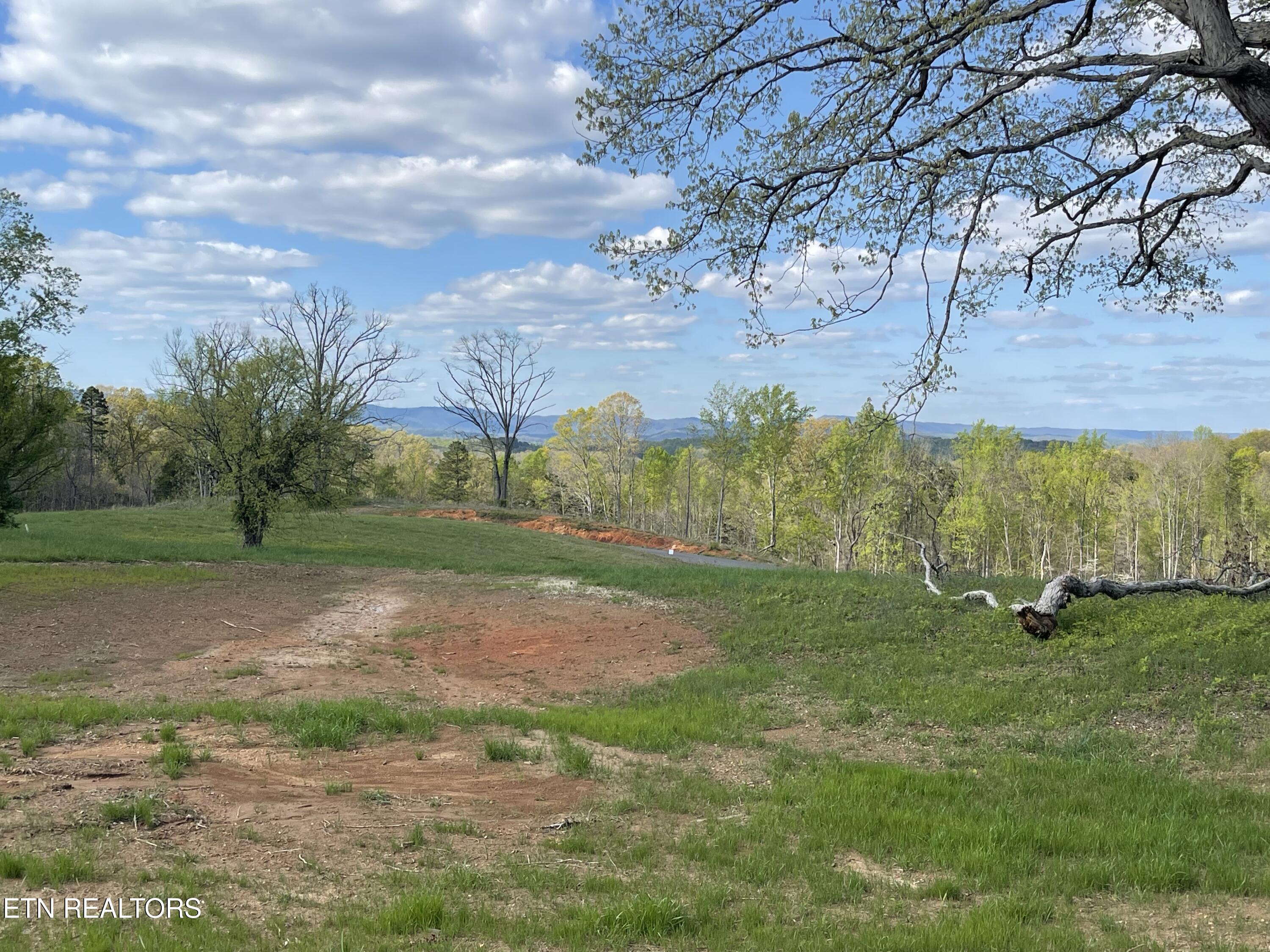 Lot 5 Laura Boling Loop Rd Property Photo