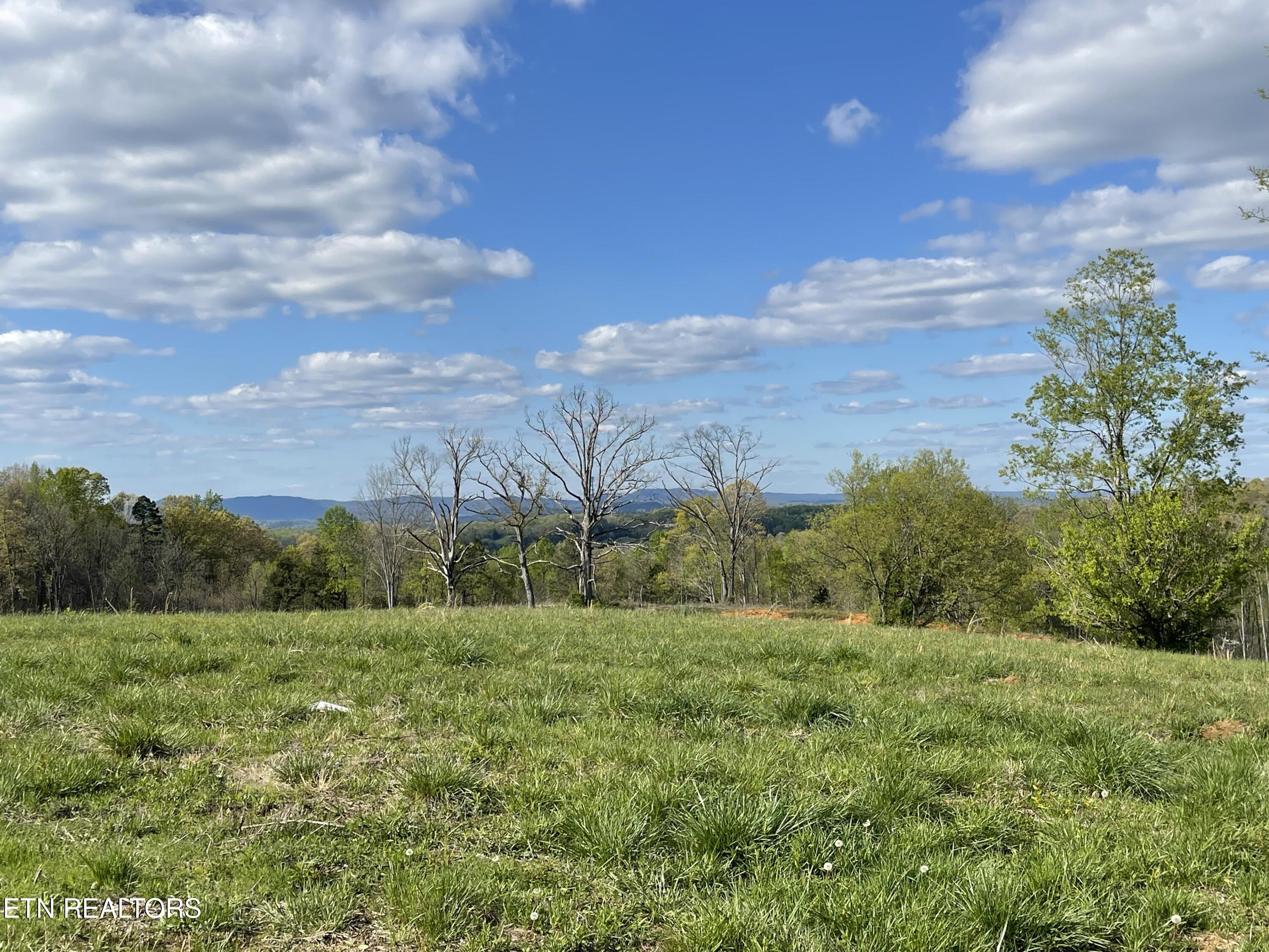Lot 6 Laura Boling Loop Rd Property Photo