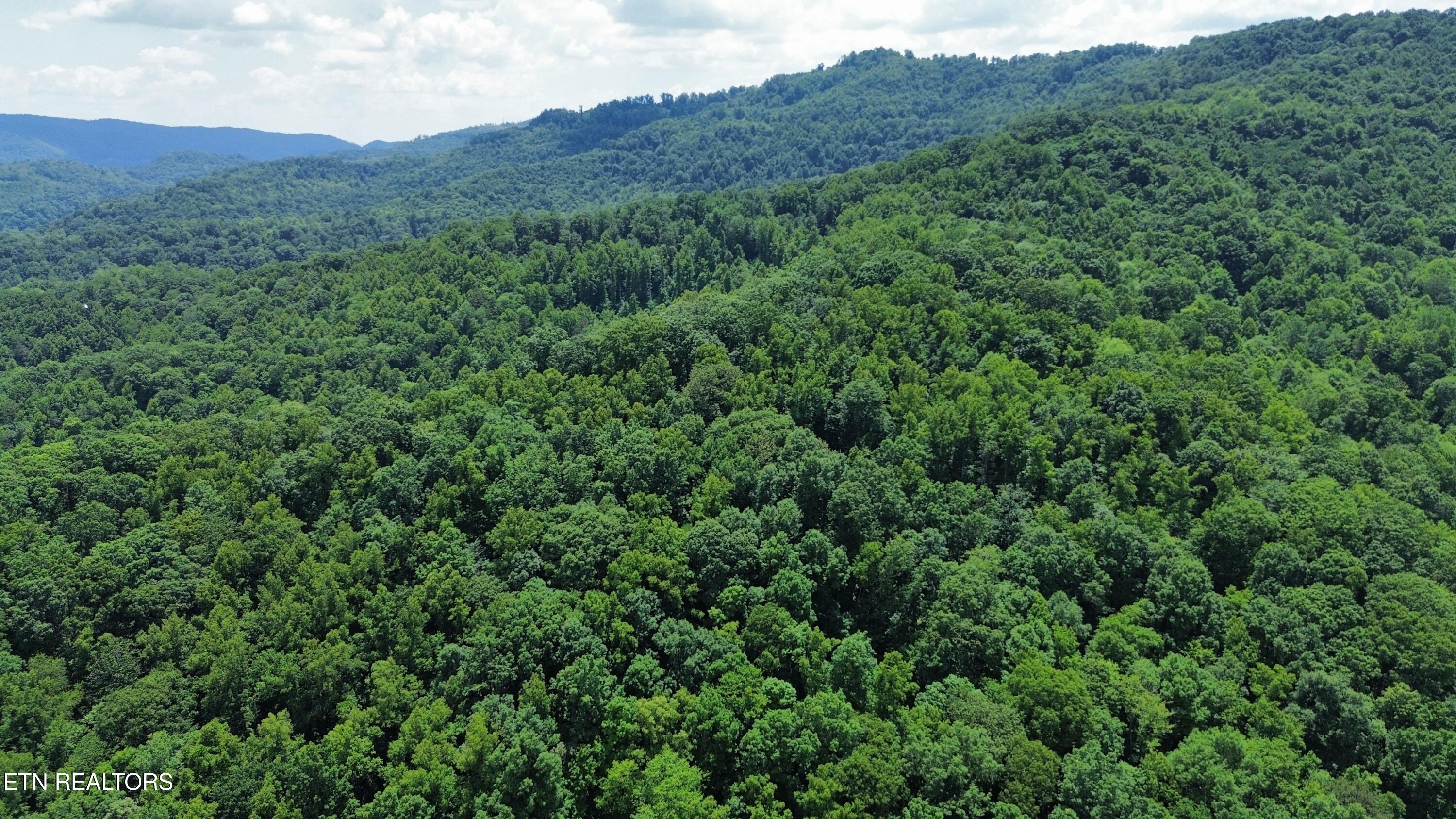 0000 Lick Creek Lane Property Photo