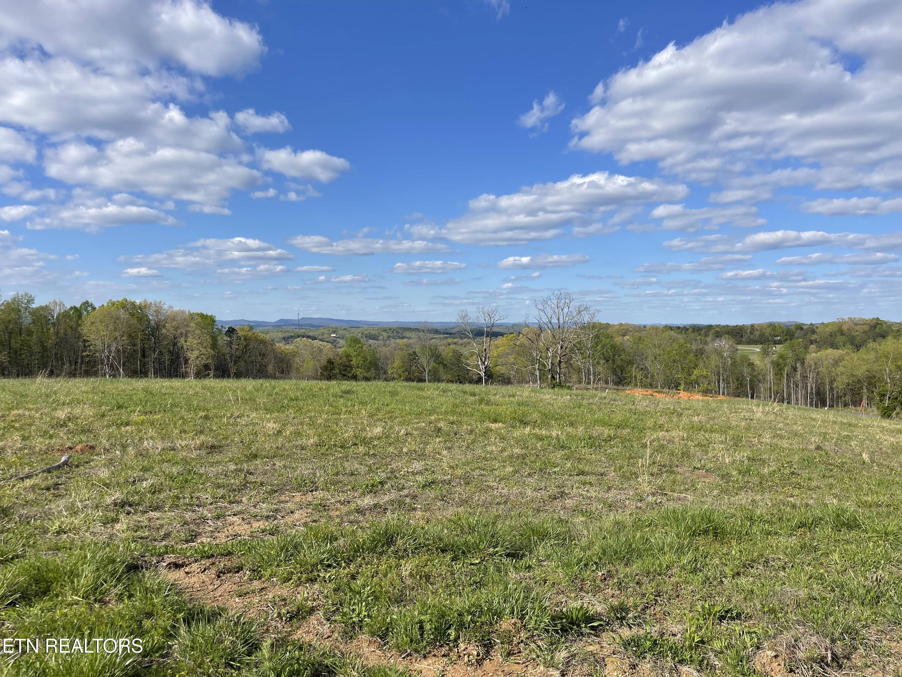 Lot 7 Laura Boling Loop Rd Property Photo