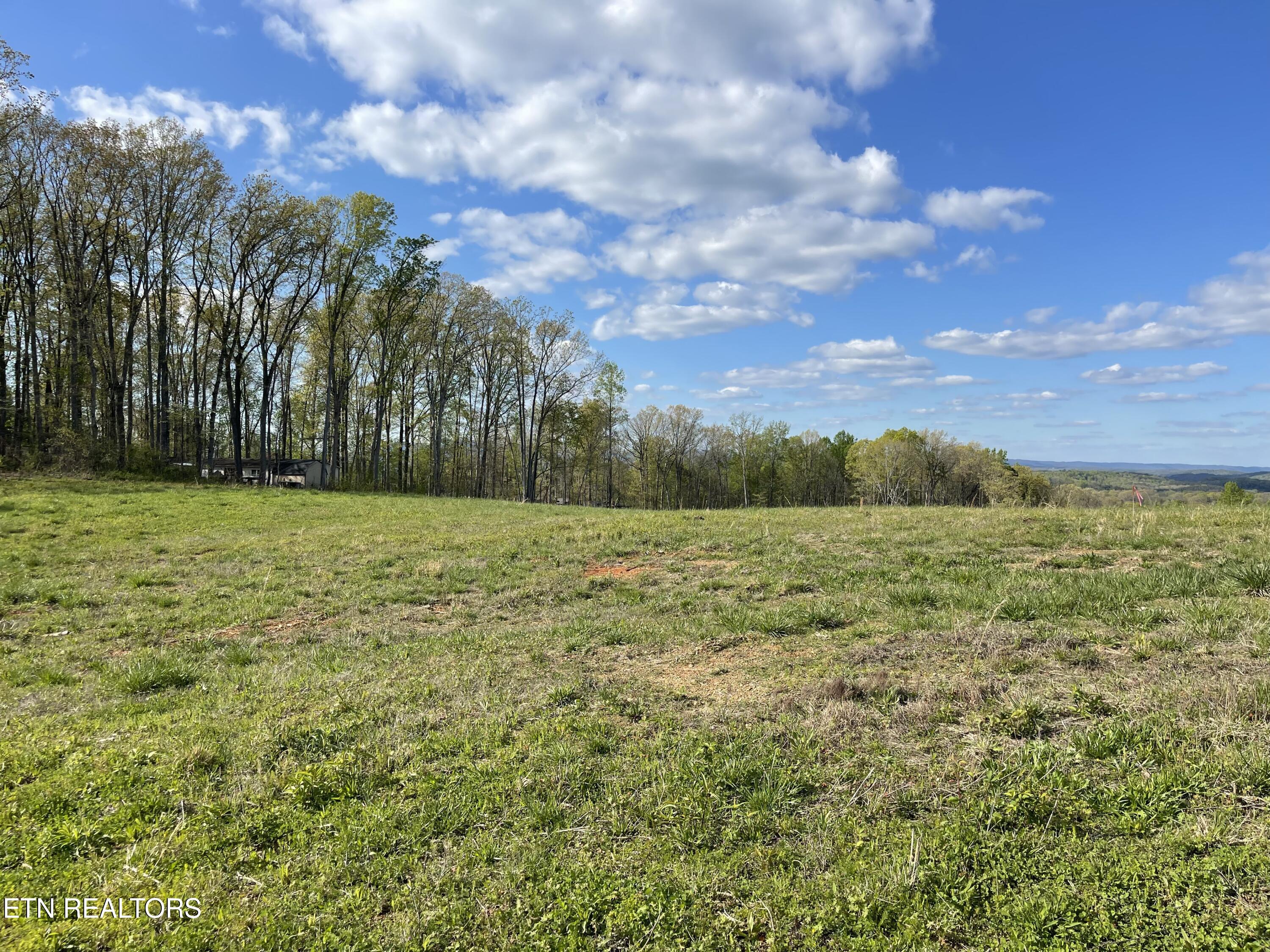 Lot 8 Laura Boling Loop Rd Property Photo