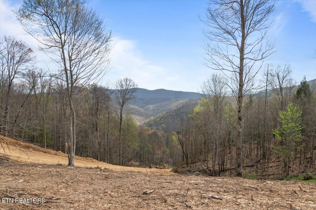 Arial Lane Property Photo