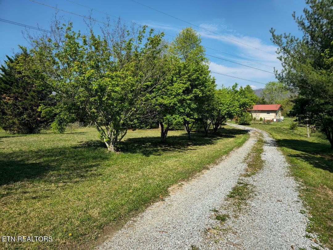 586 Back Valley Rd Property Photo