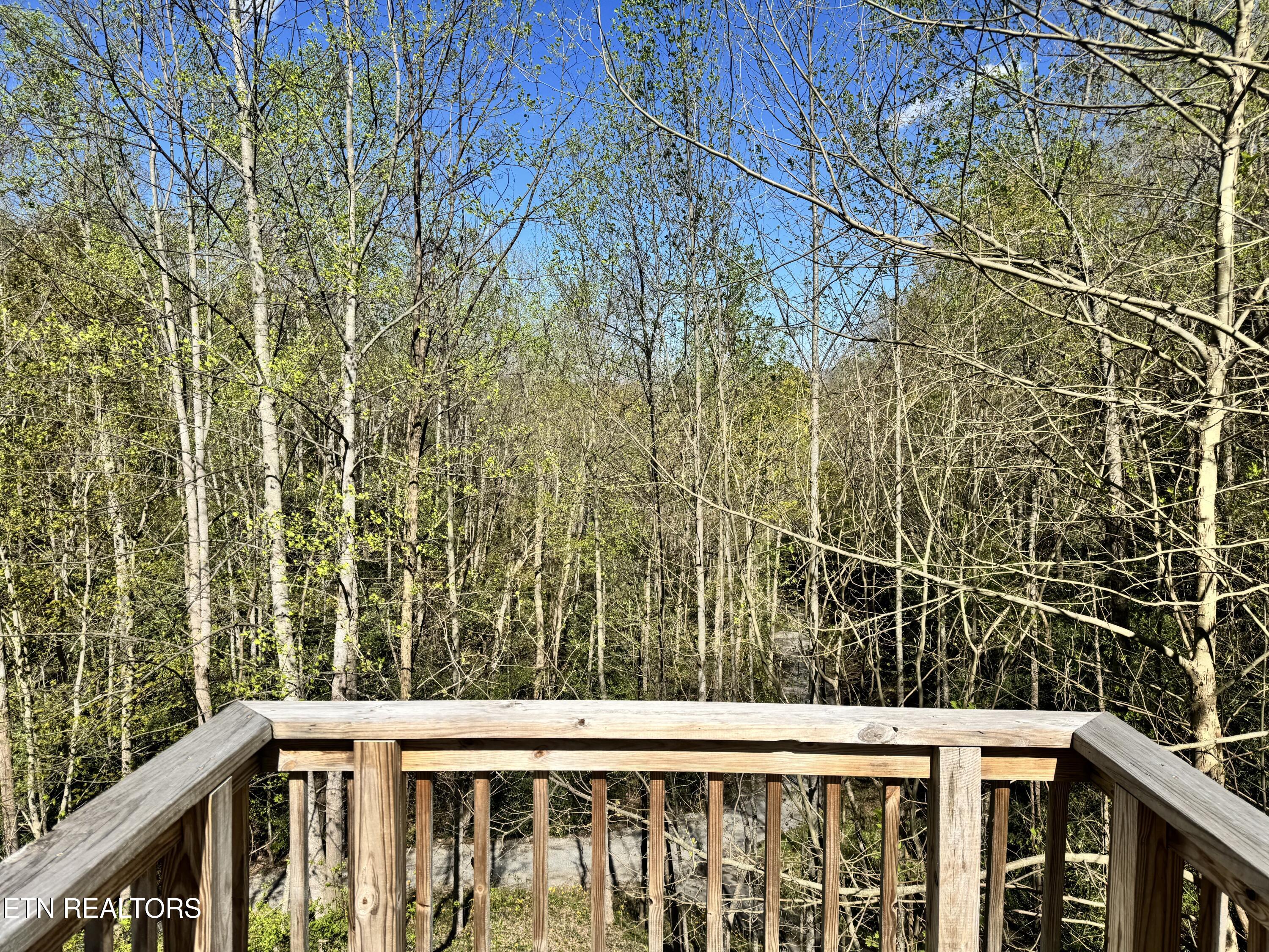 337 Costner Rd Property Photo 8