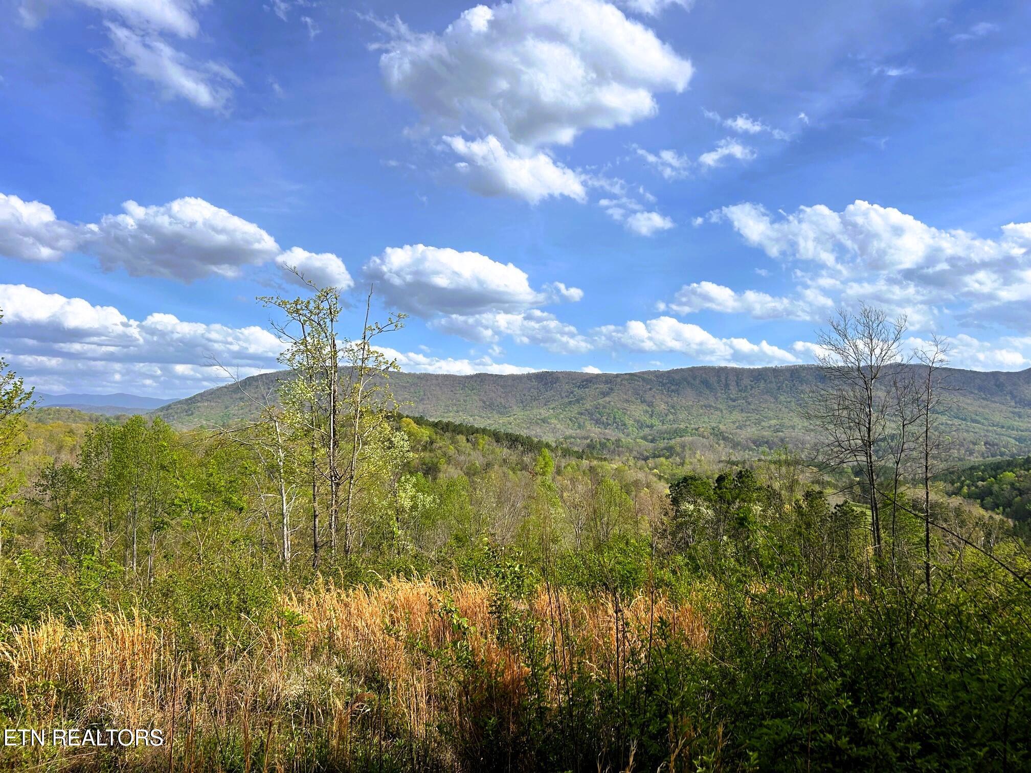 250 County Road 476 Property Photo