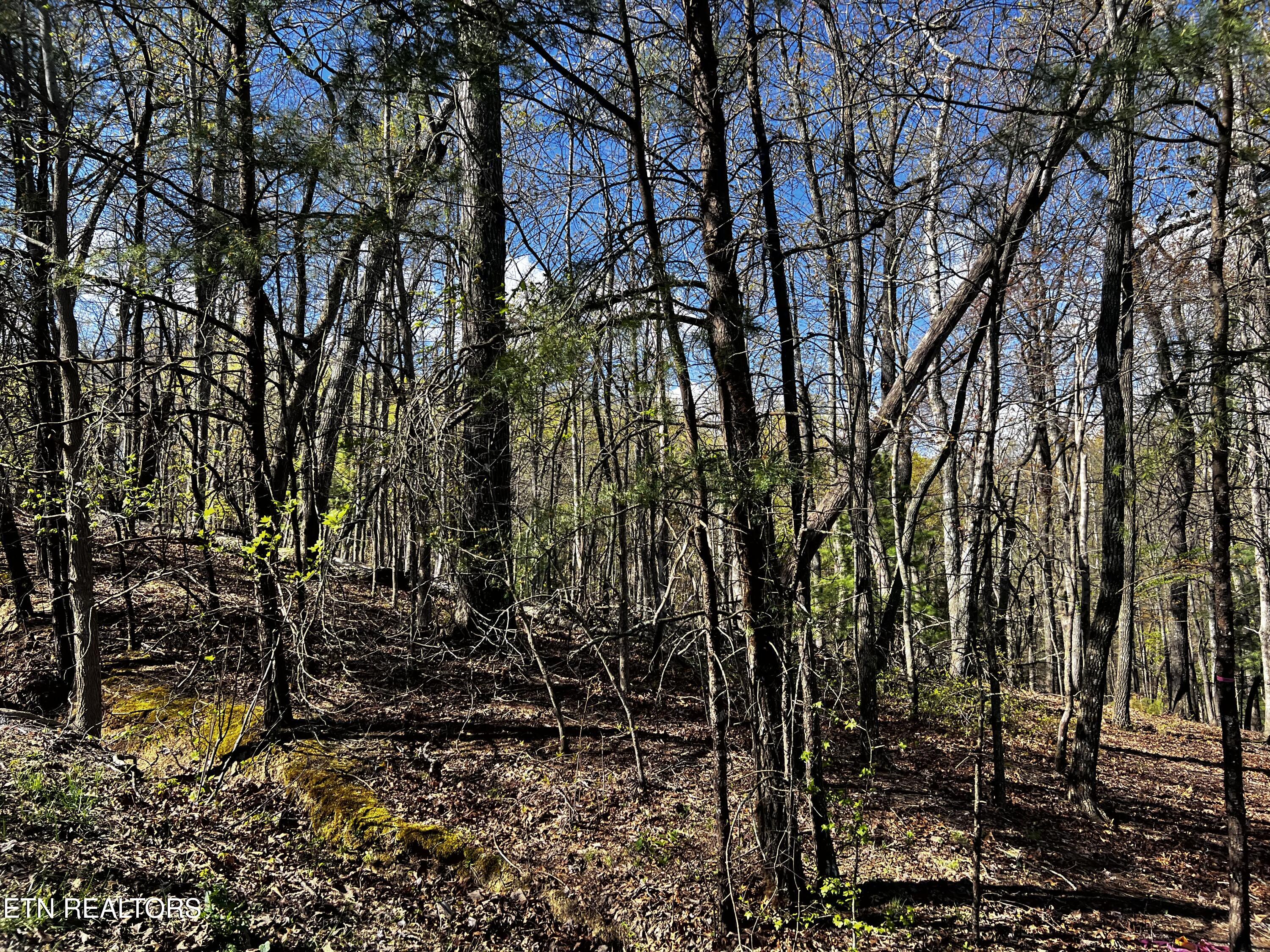 131 Pineridge Loop Property Photo