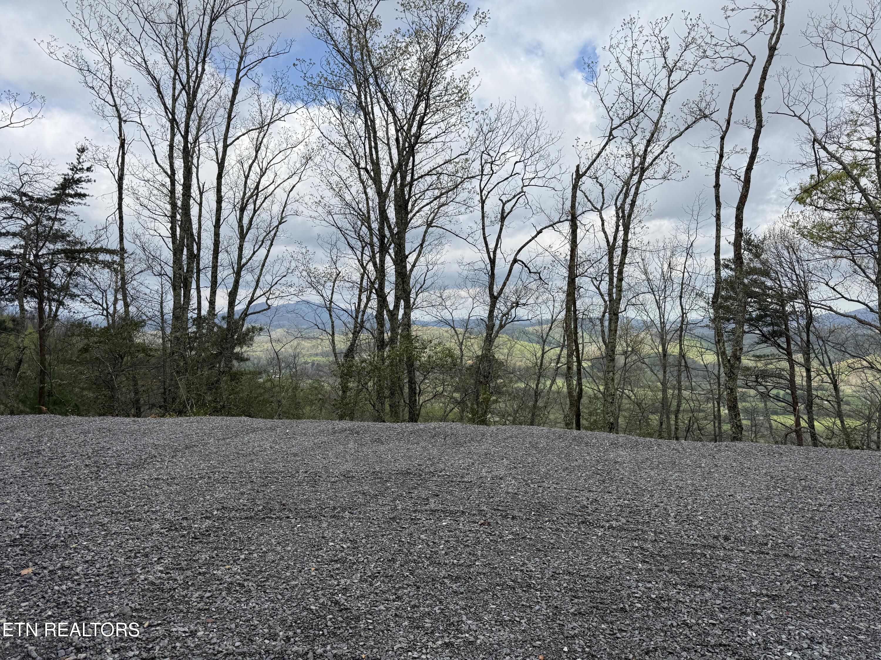 3.93 Acres Green Forest Rd Property Photo