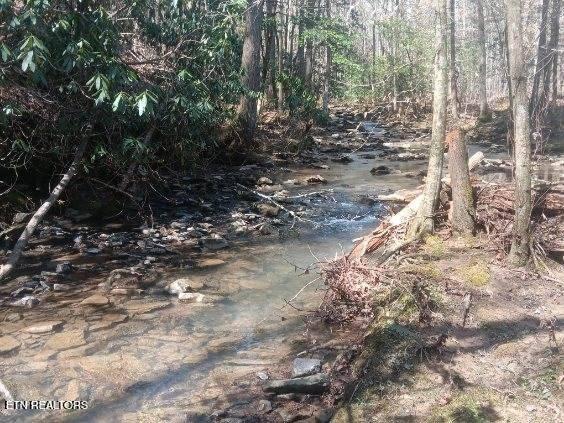 255 & 329 Copperhead Rd Property Photo