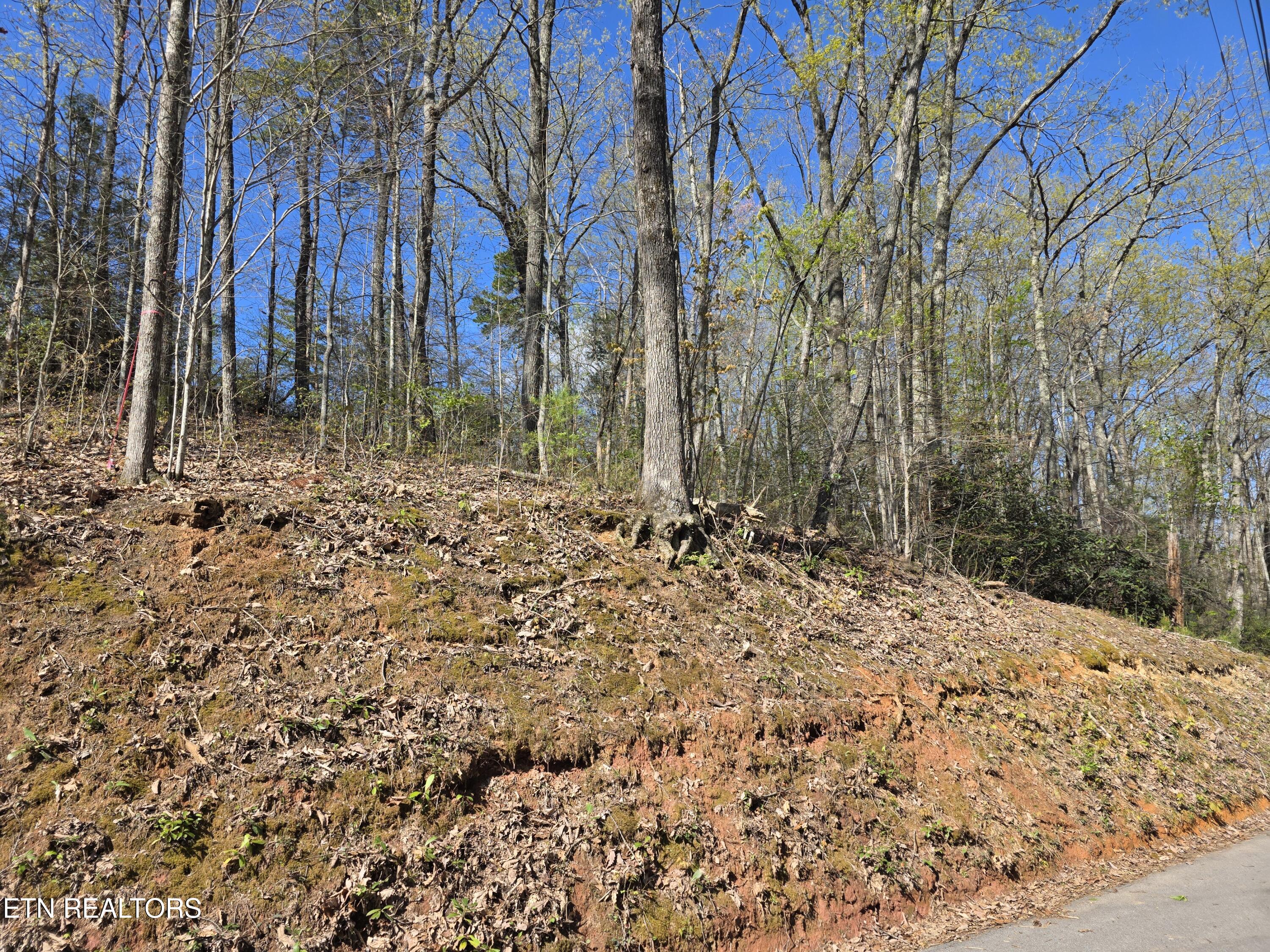 Carter Plaza Lot 2 Property Photo