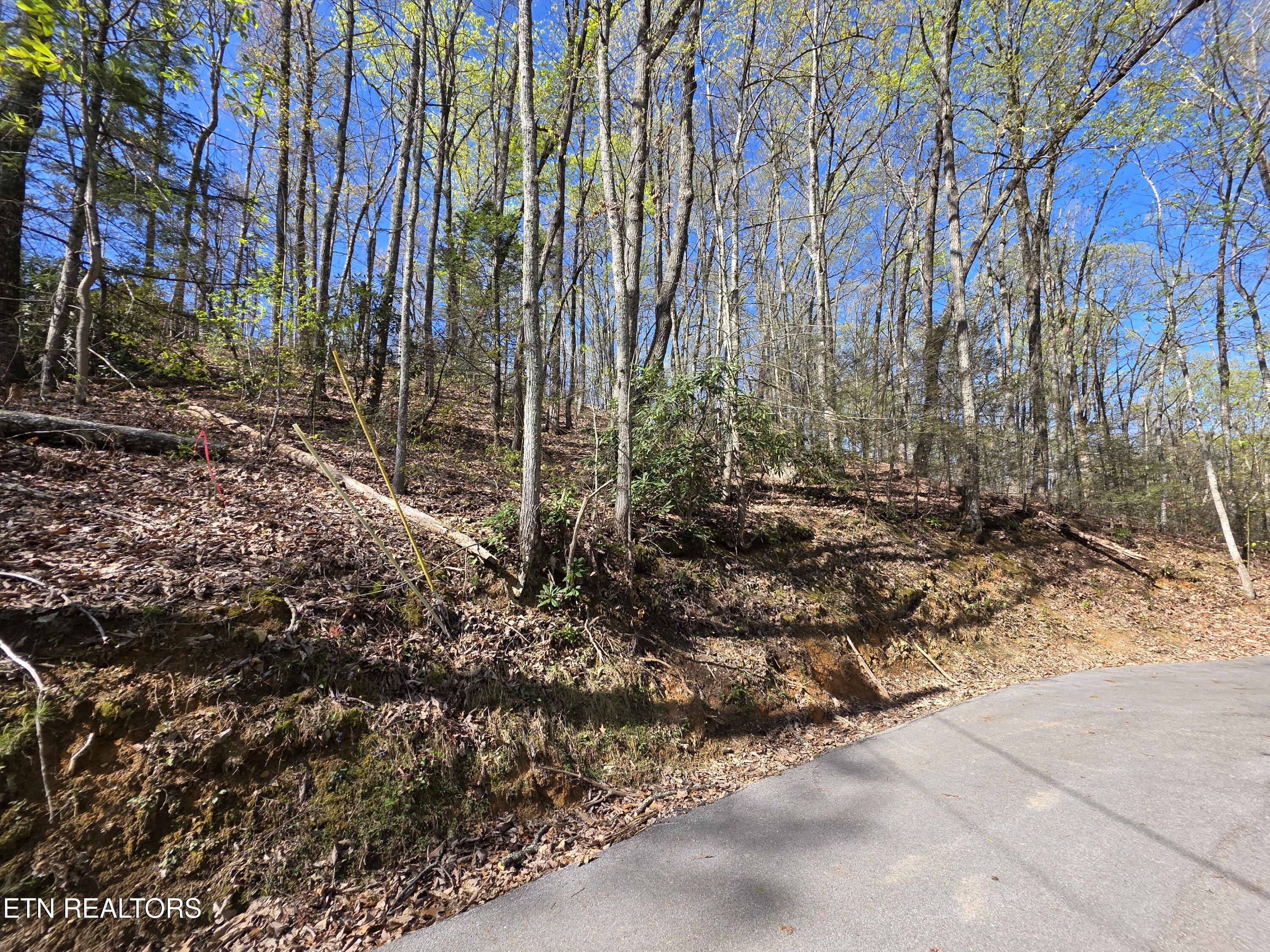 Carter Plaza Lot 3 Property Photo