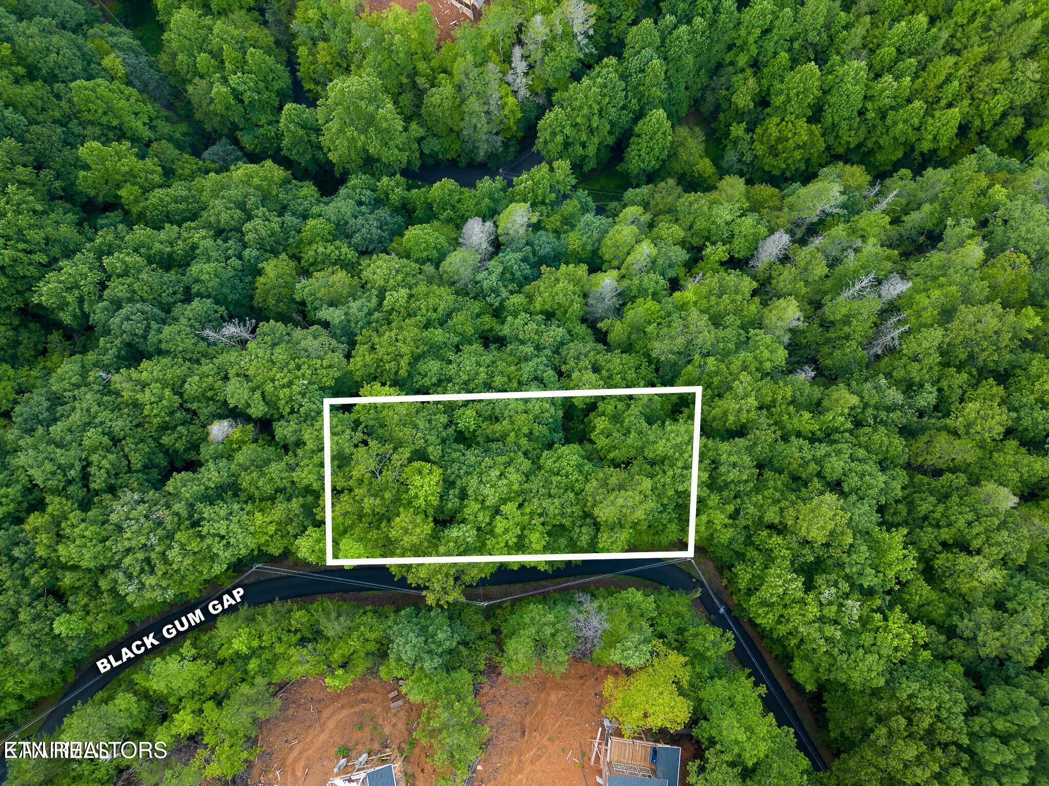 Black Gum Gap Rd Property Photo