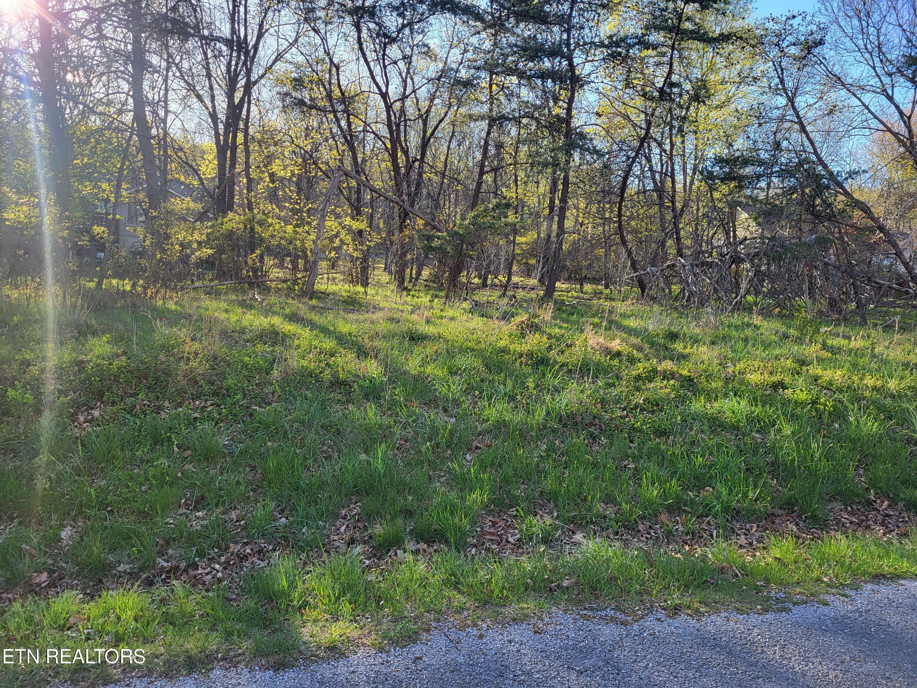 140 Greenbrier Loop Property Photo