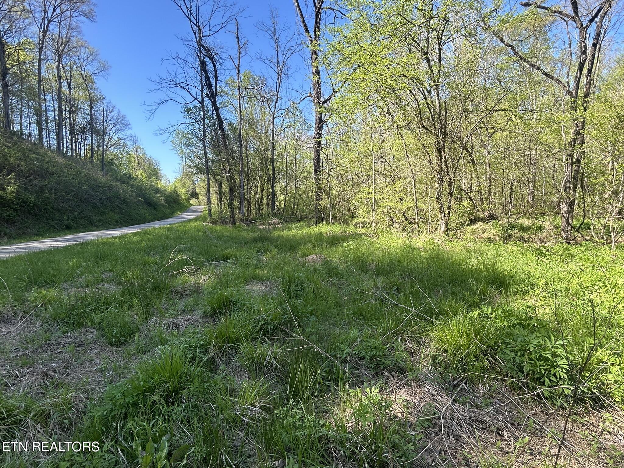 Lot 12 Sloan Rd Property Photo