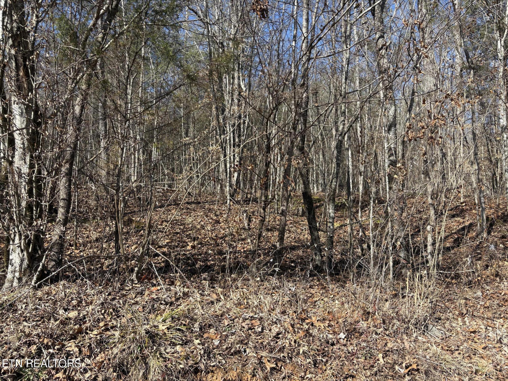 0 Big Creek Rd Property Photo