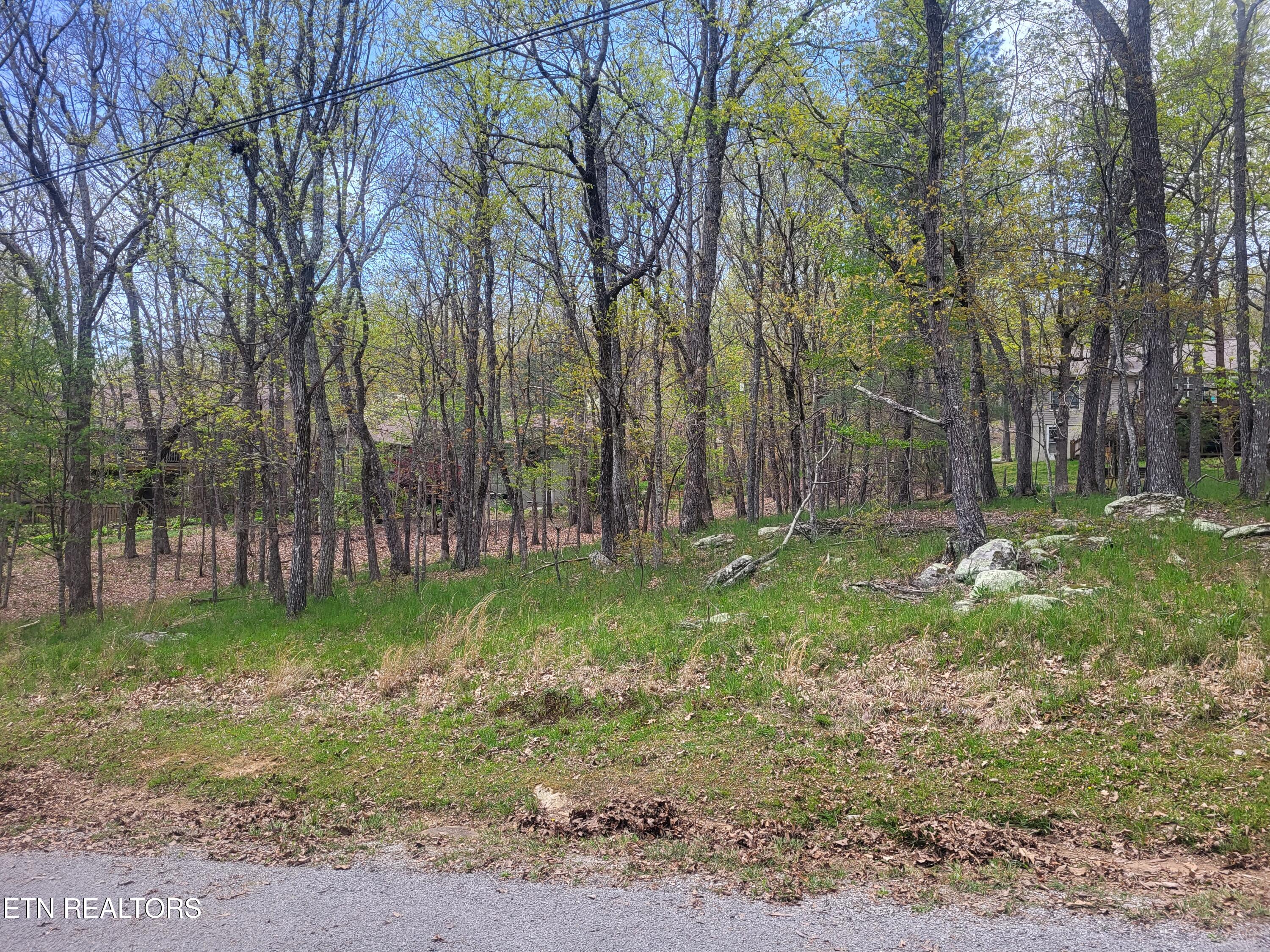 142 Greenbrier Loop Property Photo