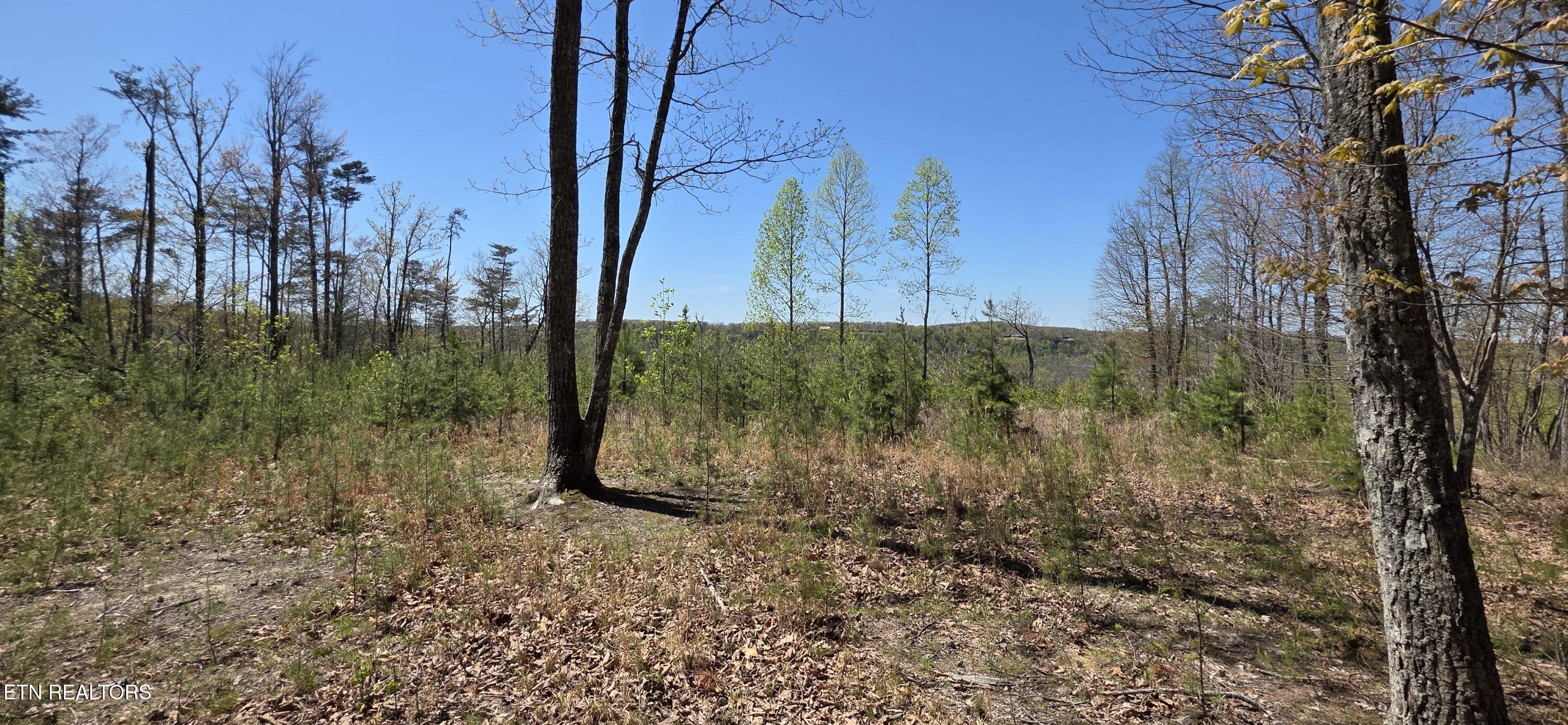 5 Tanner Drive Property Photo