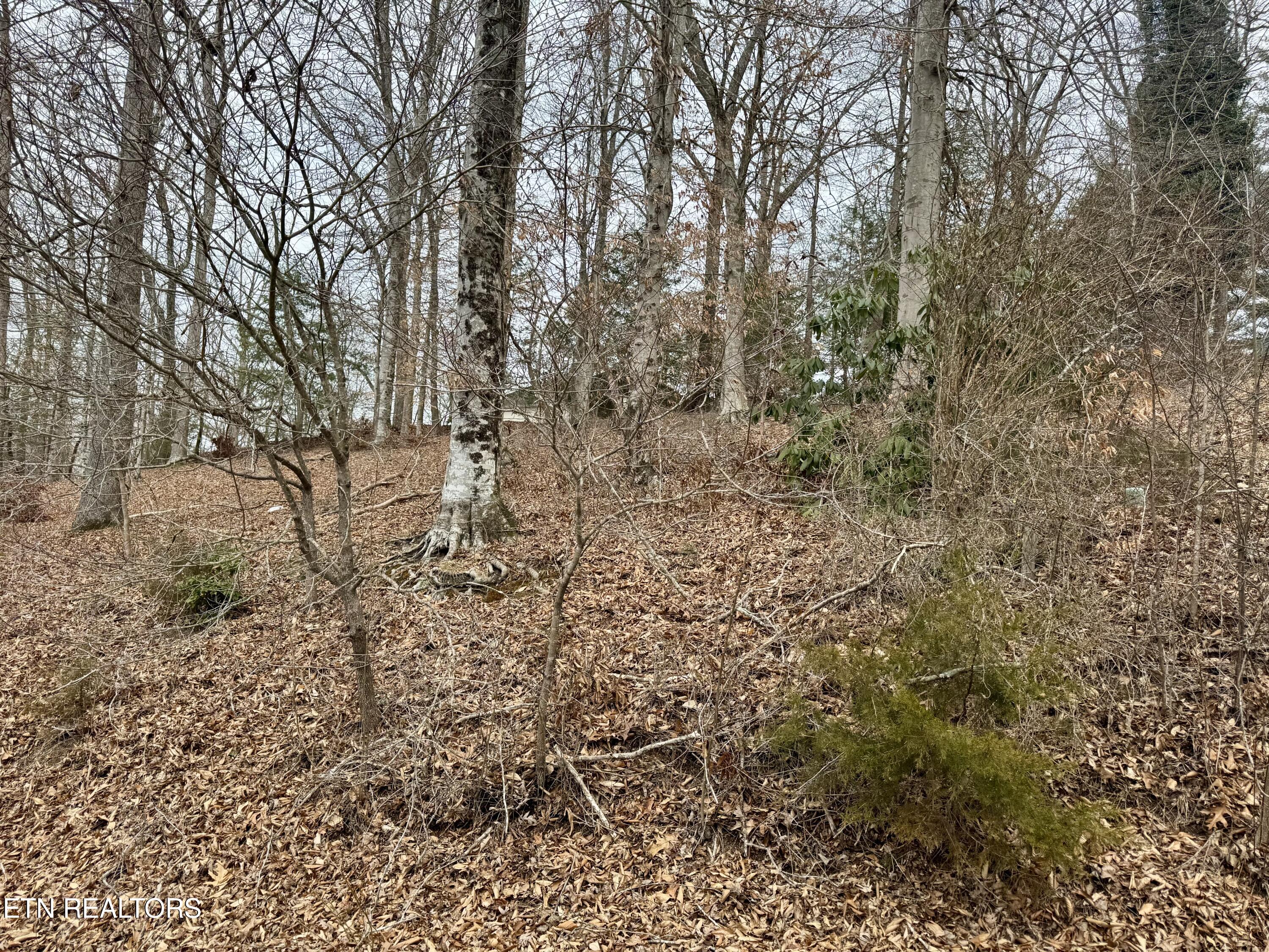 Madison Circle Property Photo