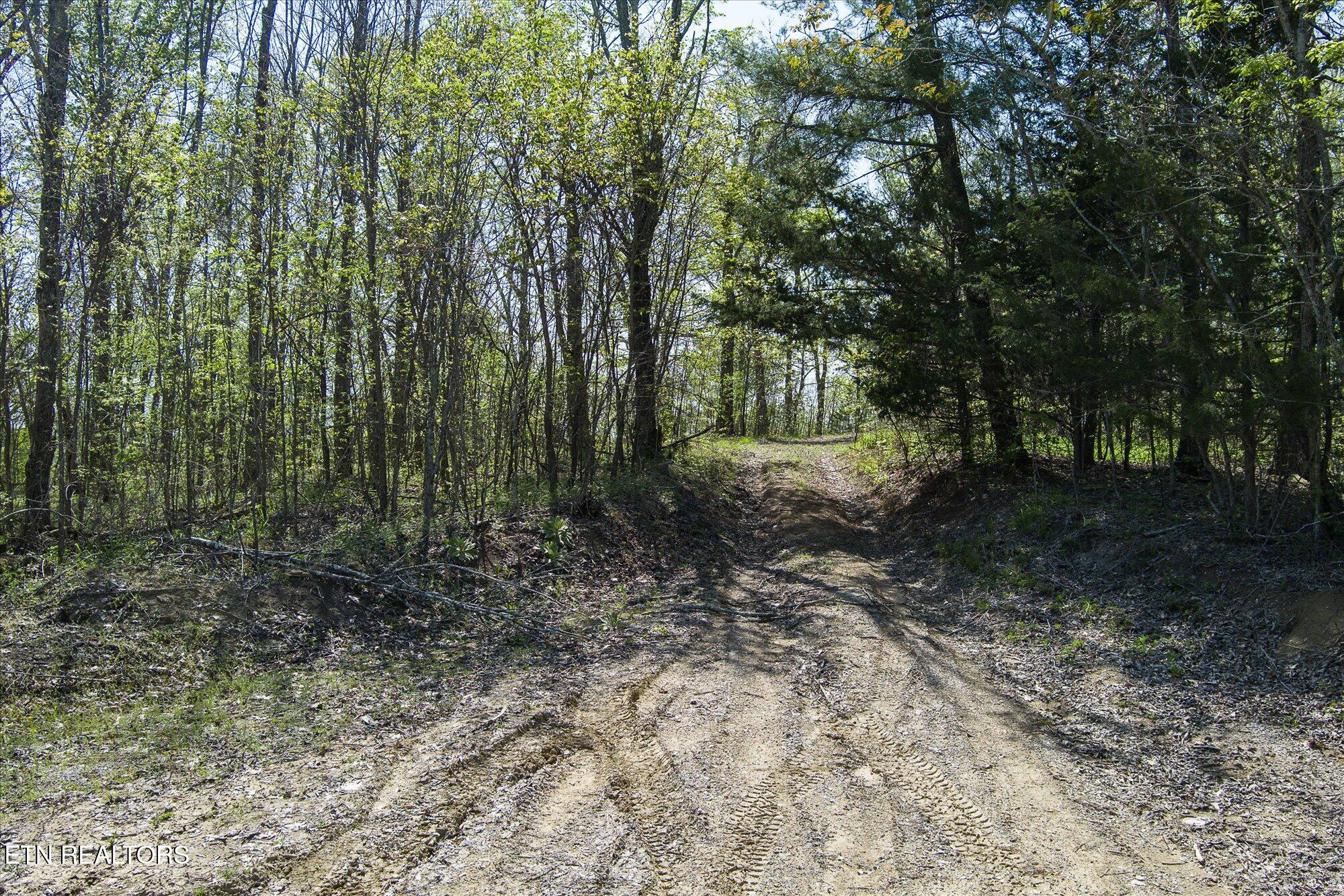 Fire Tower 12.2 Ac Rd Property Photo