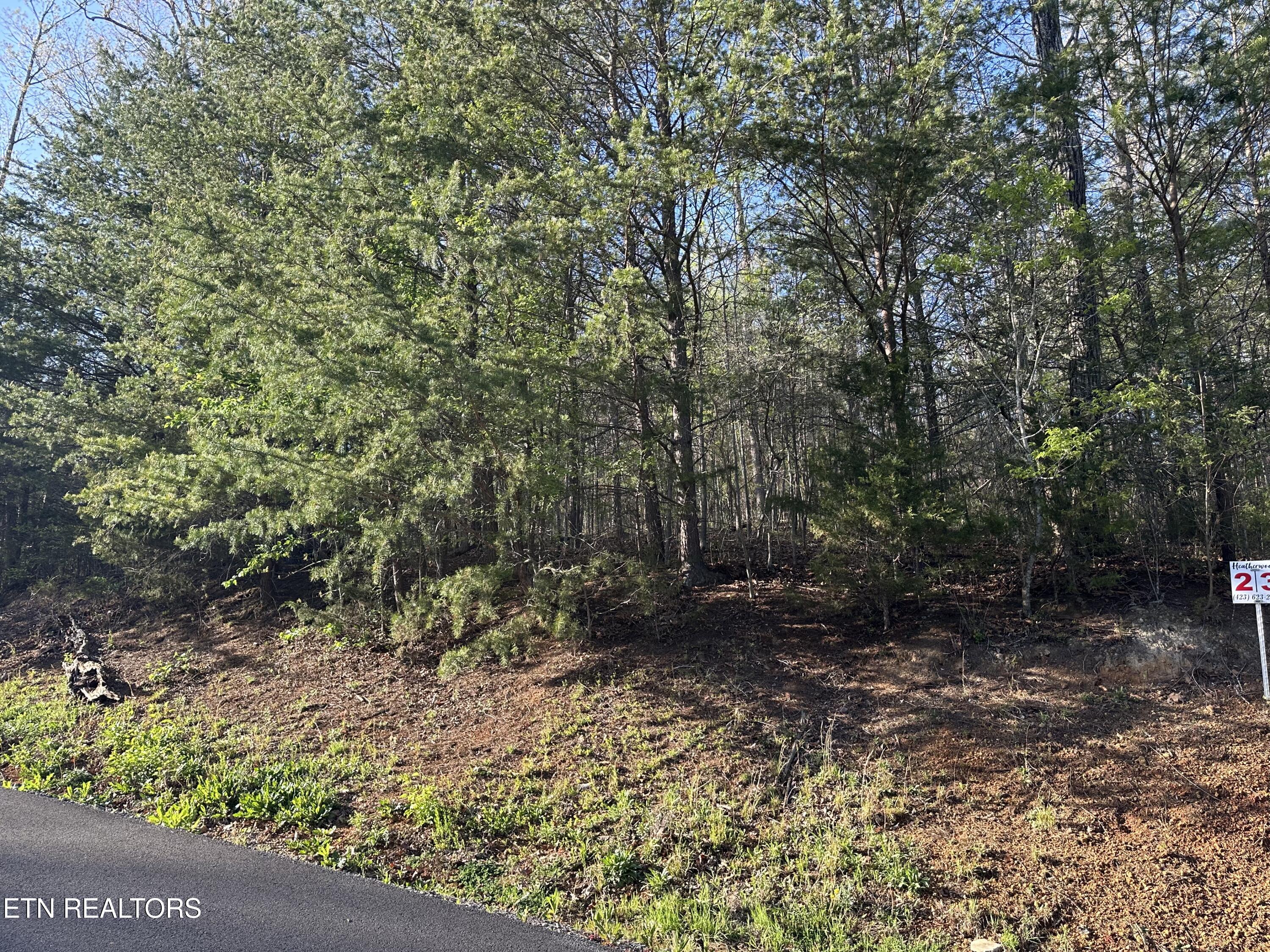 Lot 2 Timber Trail Property Photo