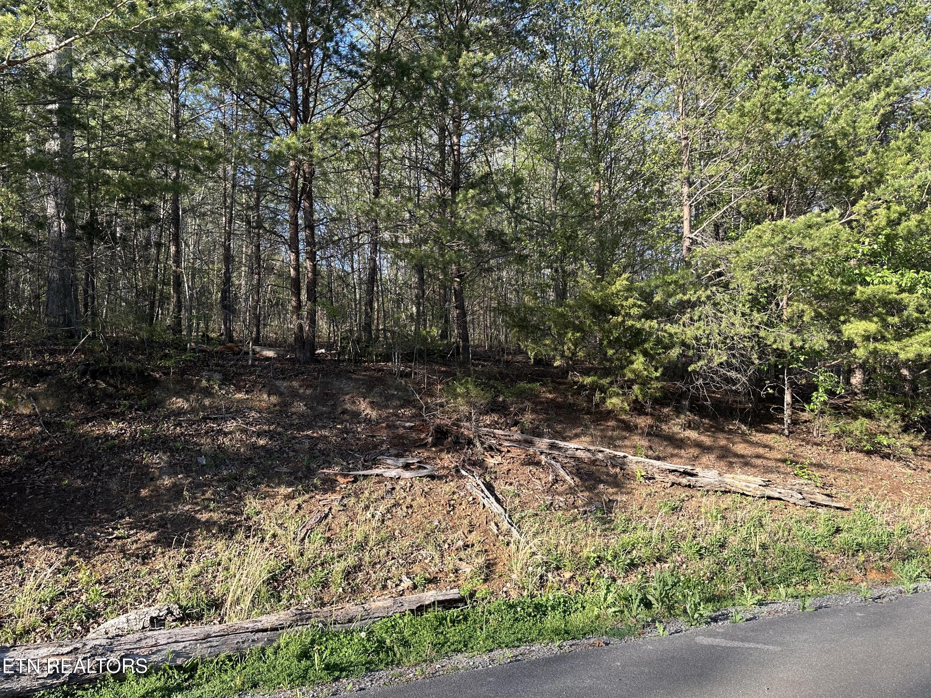 Lot 2 Timber Trail Property Photo 2